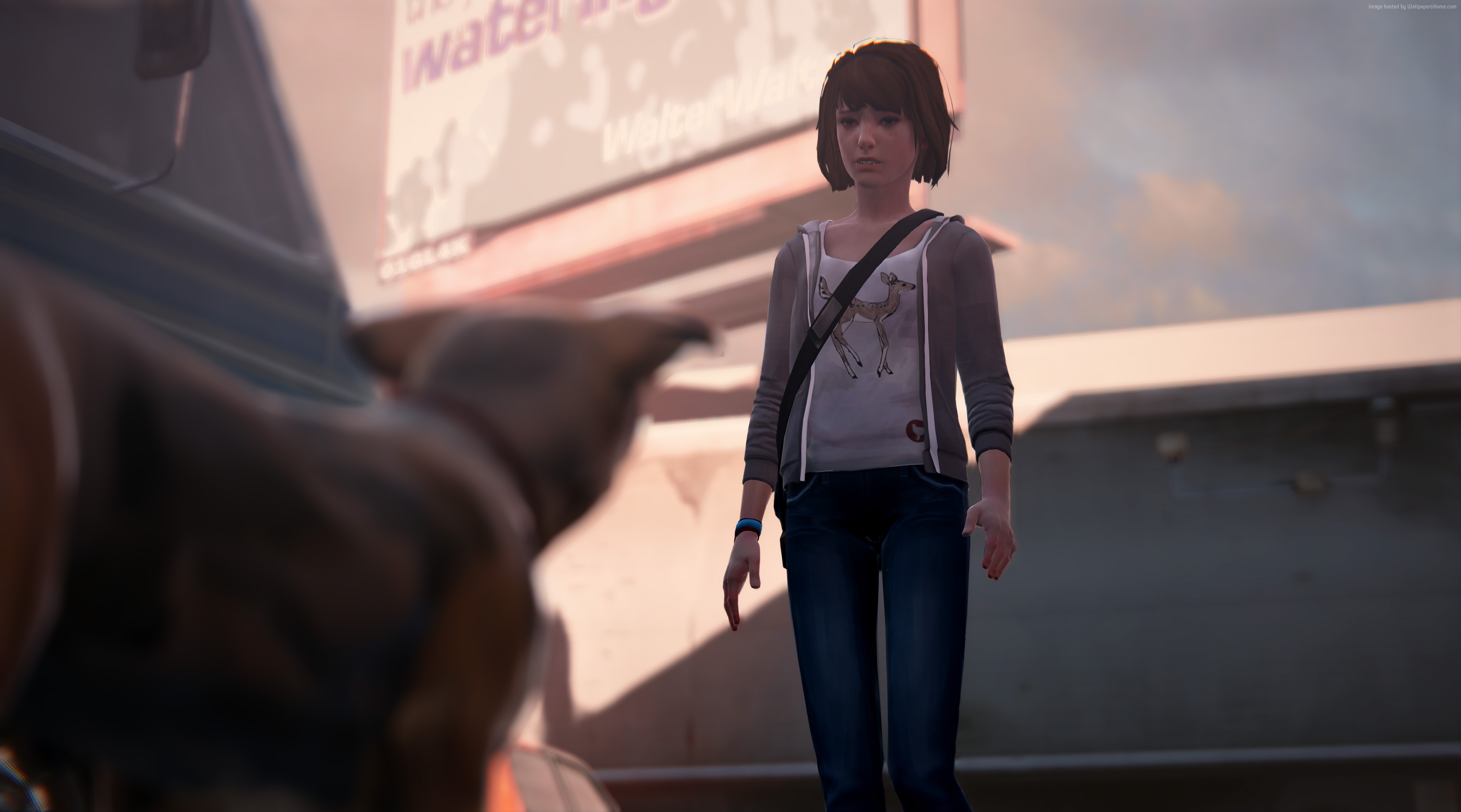 Max Caulfield from Life is Strange HD Wallpaper
