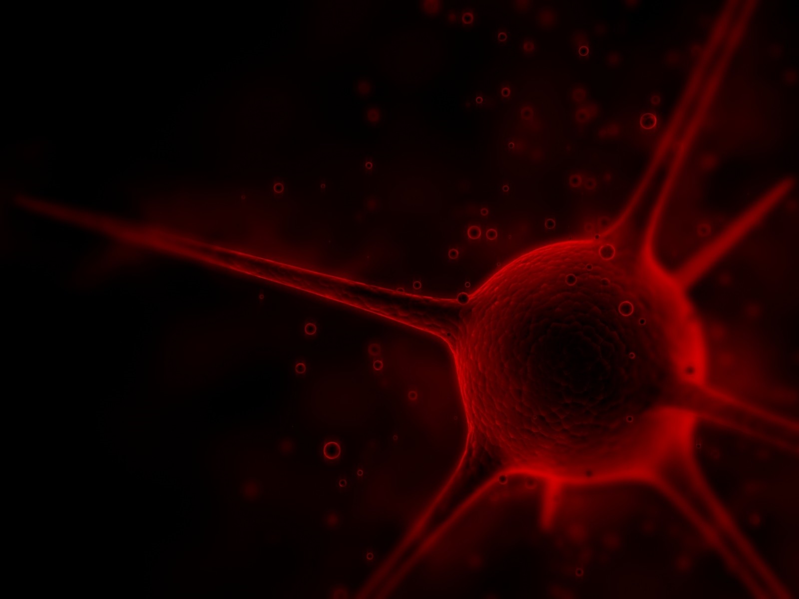 Red neuron cell with branches in darkness HD Wallpaper