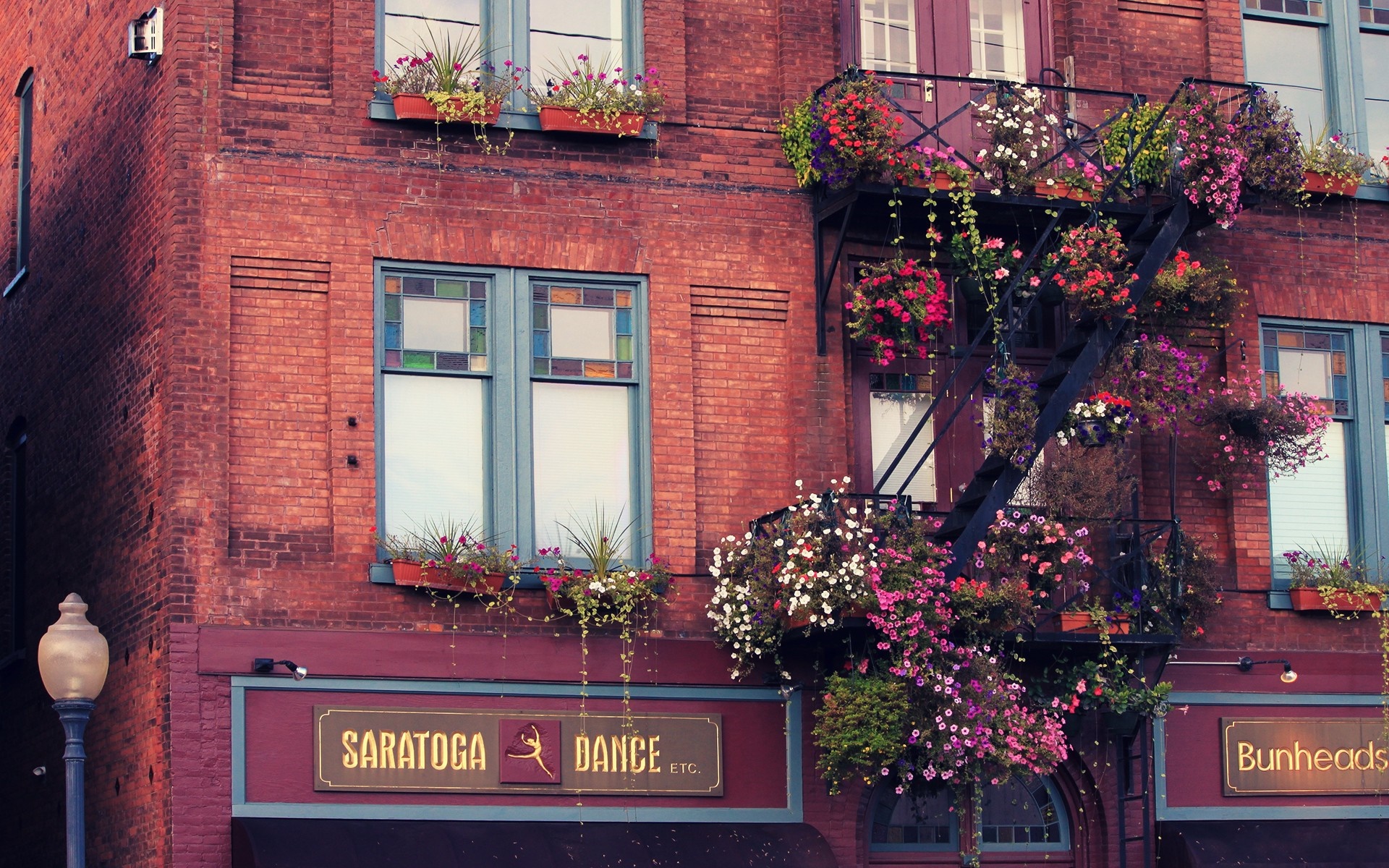 Brick building with fire escape and flowers HD Wallpaper