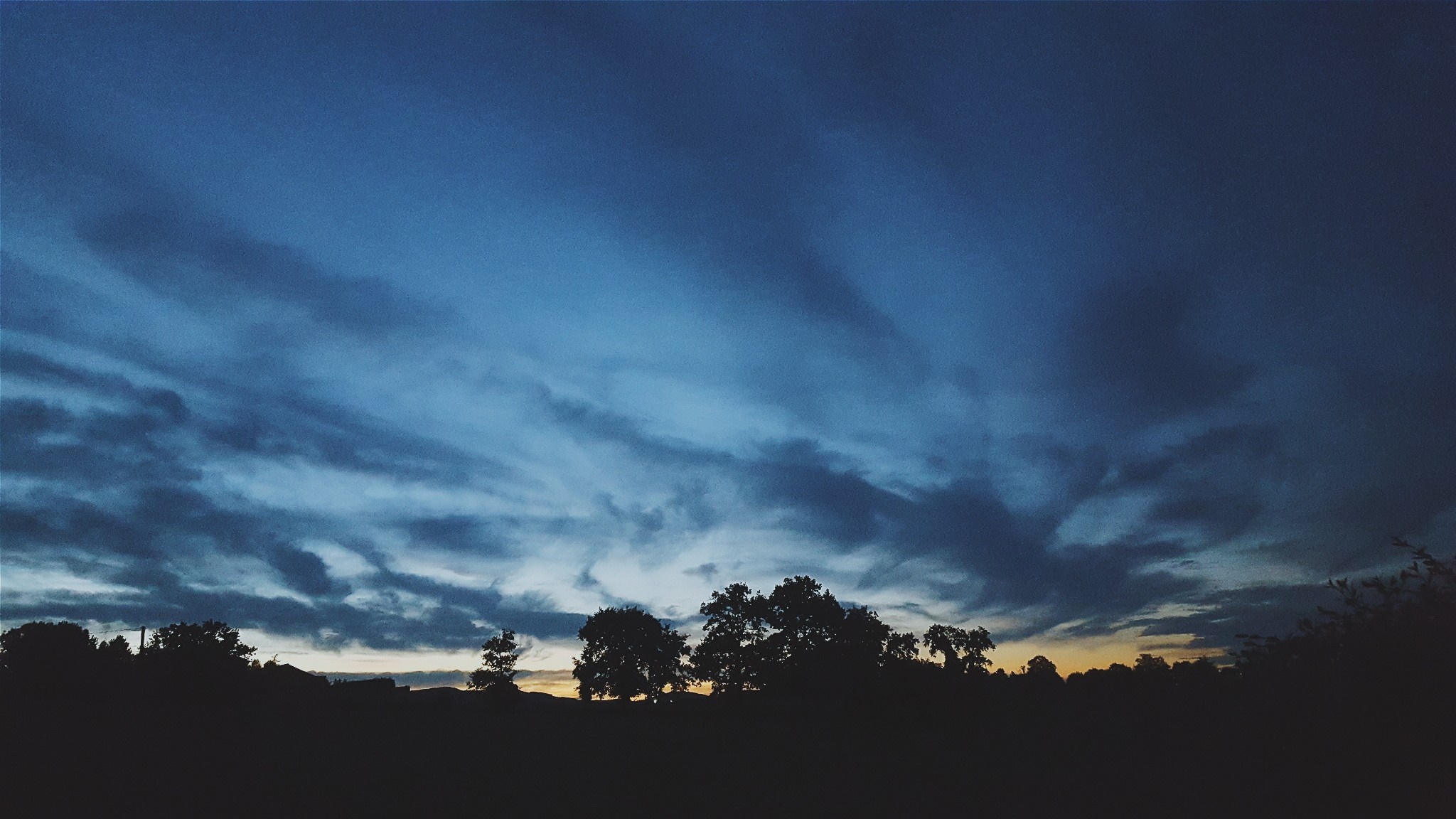 Silhouette of trees against a dramatic twilight sky HD Wallpaper