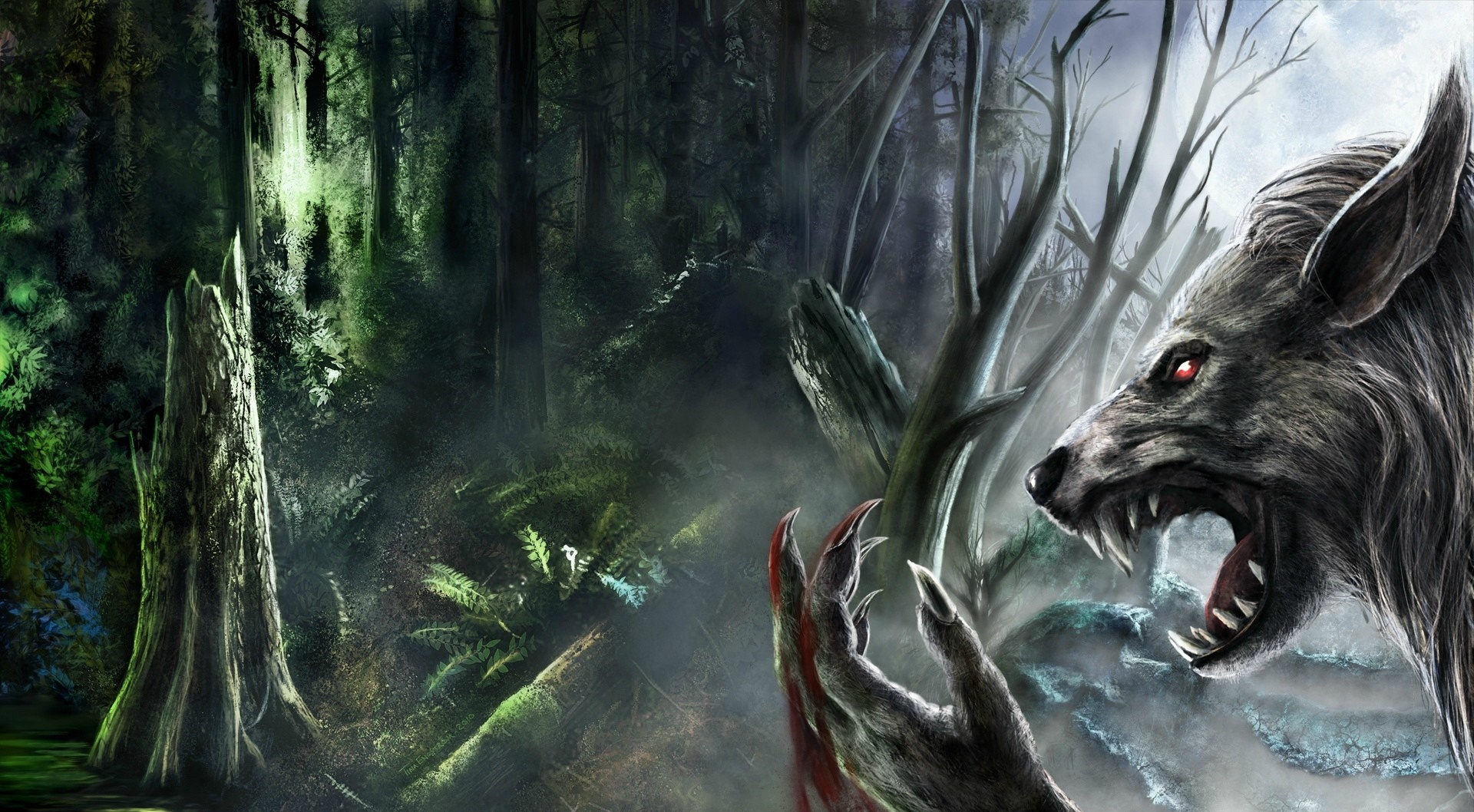 Werewolf in a dark, misty forest HD Wallpaper