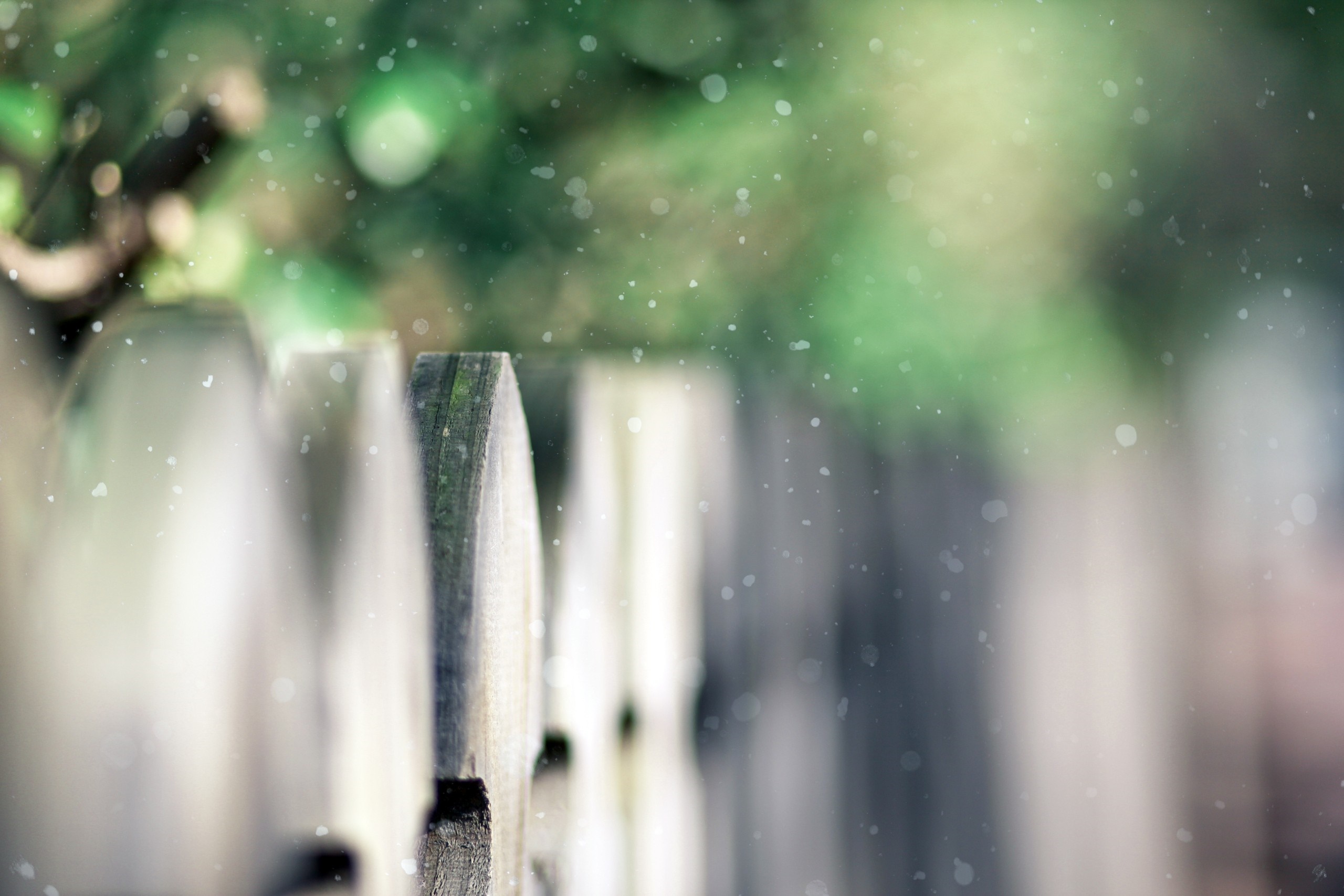 Close up of a wooden fence with falling snow HD Wallpaper