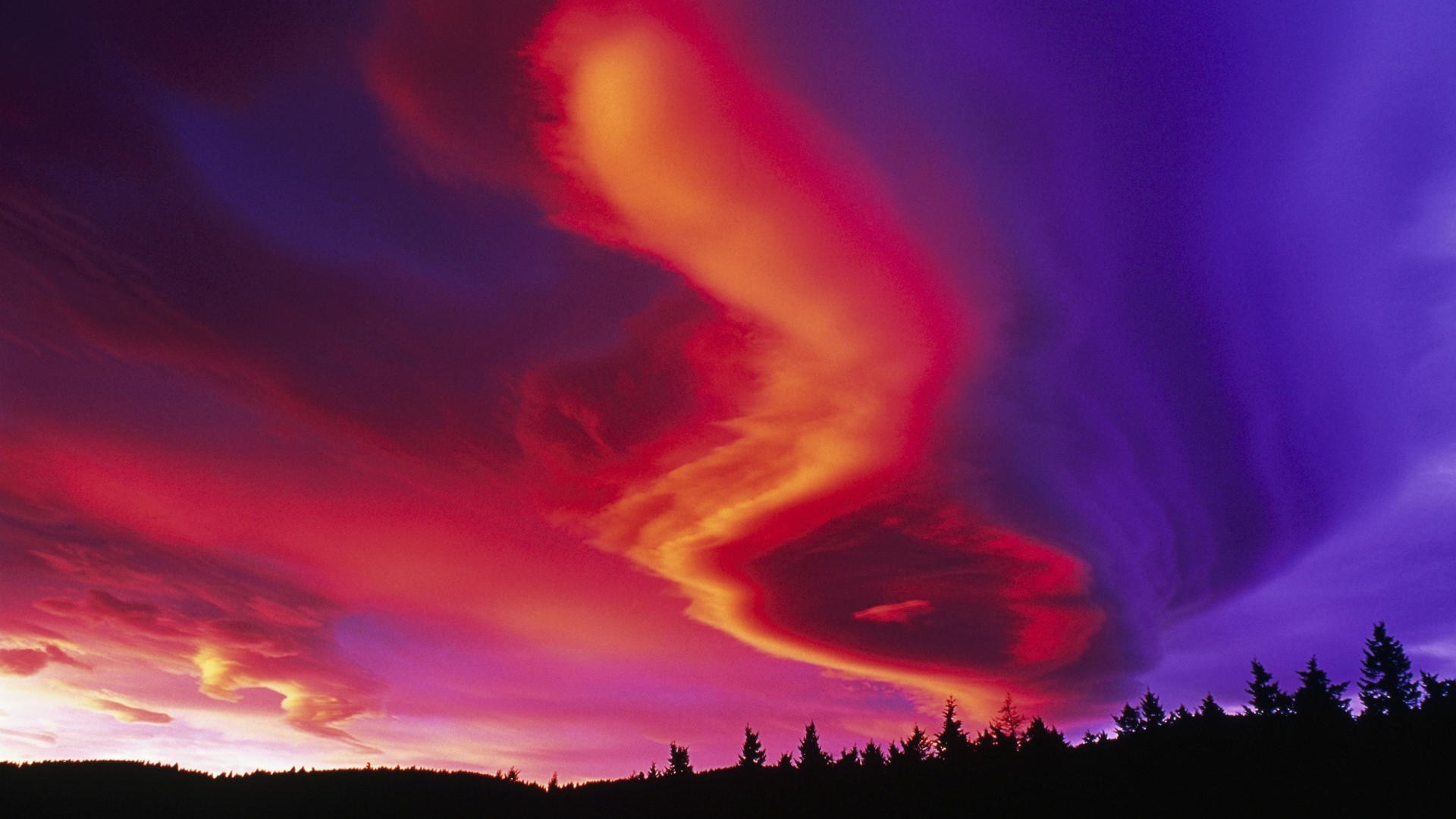 Aurora Borealis over a forest silhouette HD Wallpaper