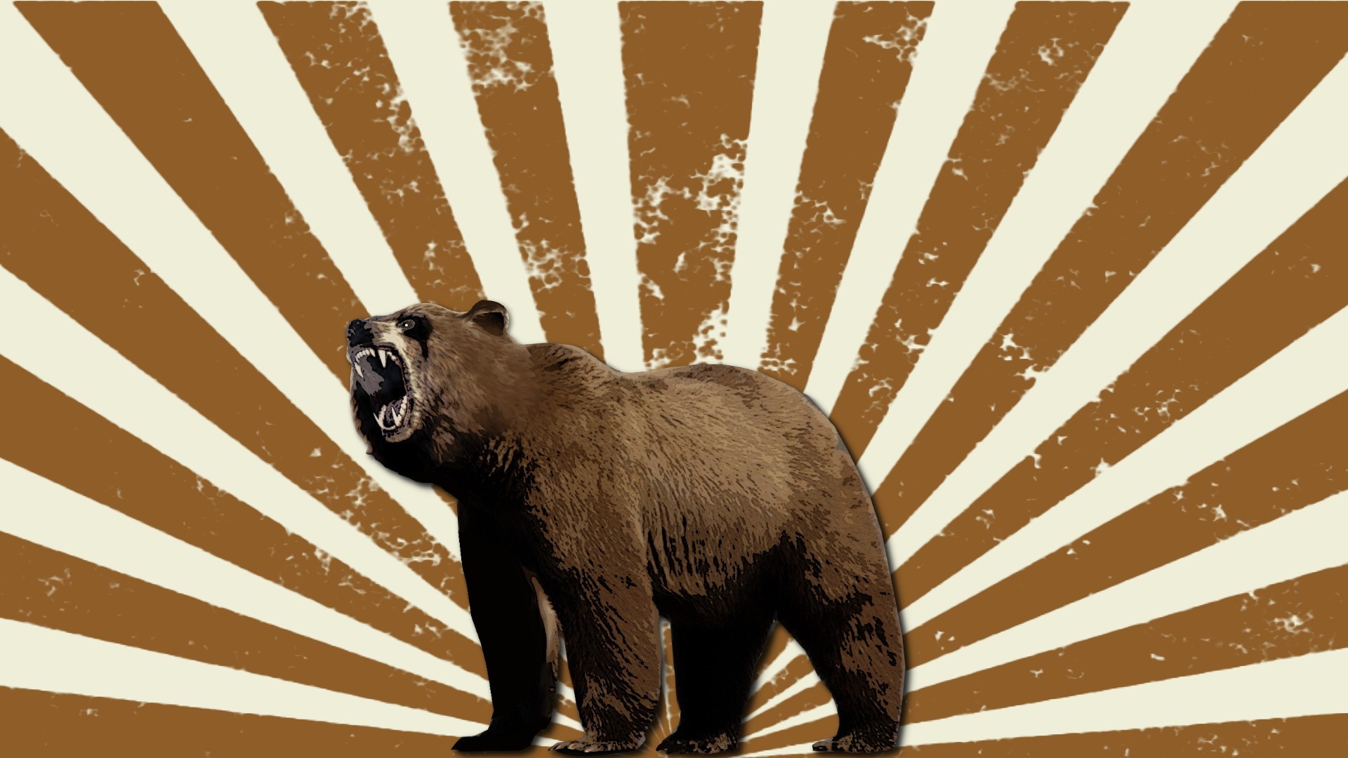 Bear roaring with sun rays background HD Wallpaper