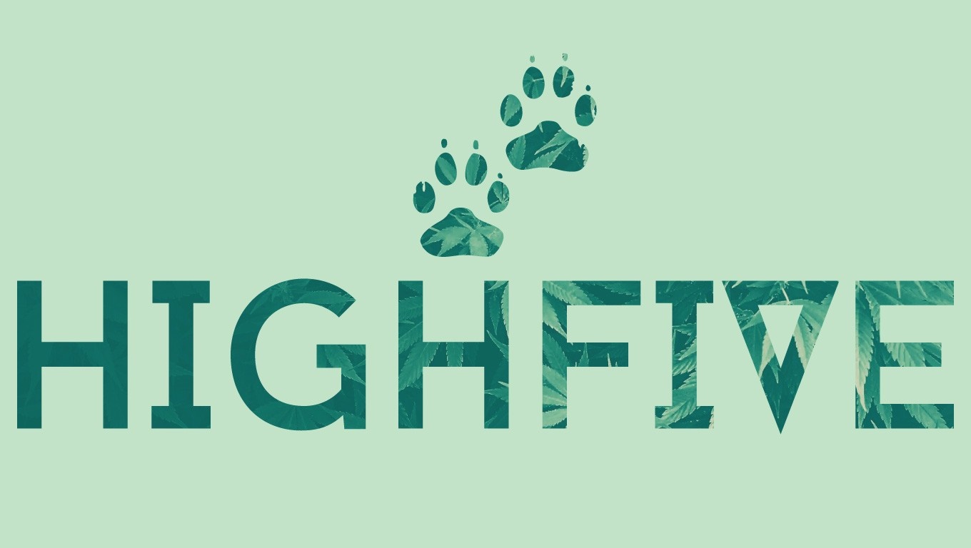Highfive logo with paw prints HD Wallpaper