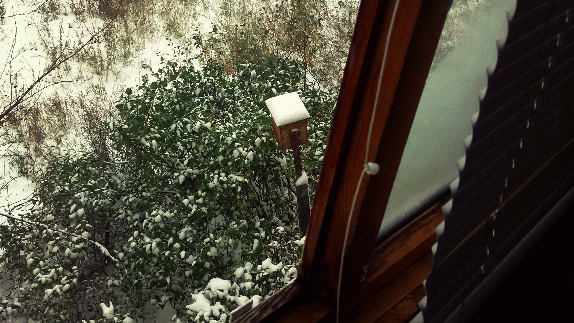 Birdhouse in the snow outside a window HD Wallpaper