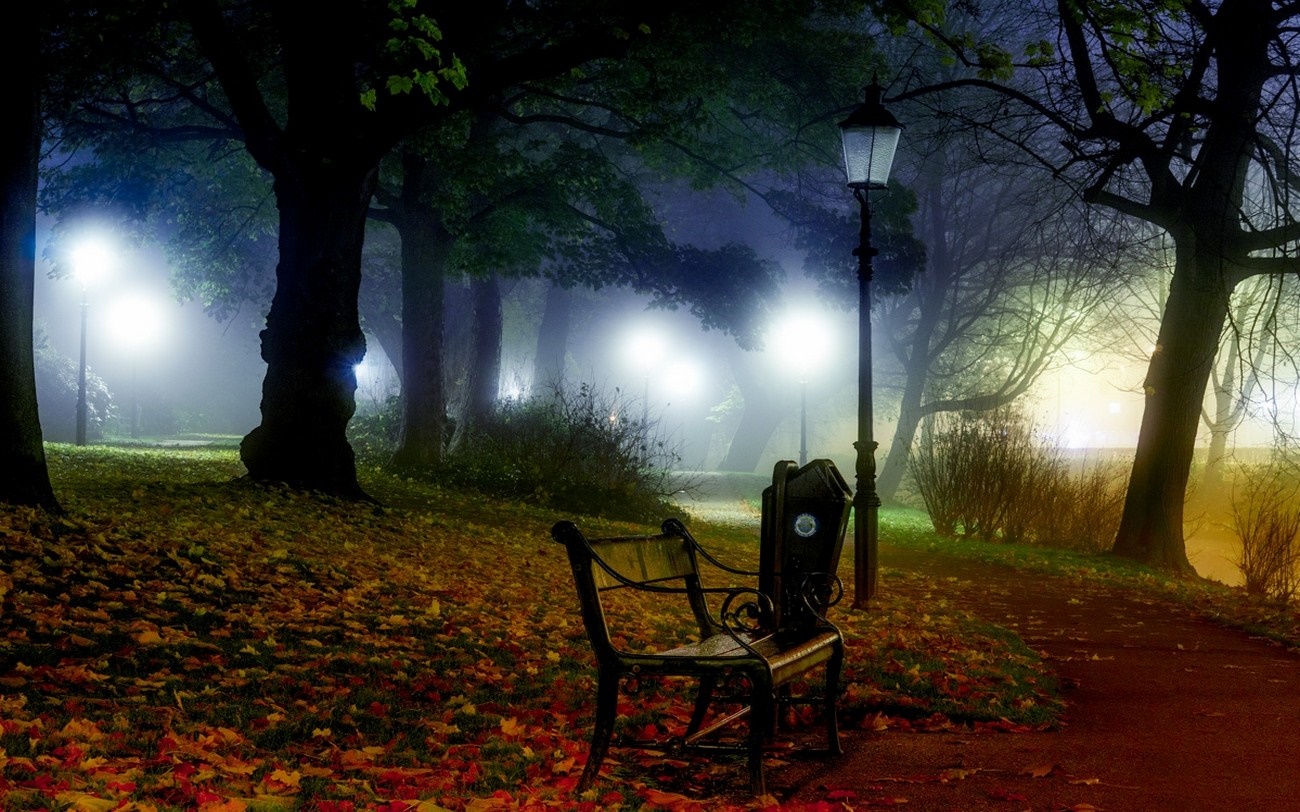 Park bench and lamppost in foggy autumn evening HD Wallpaper