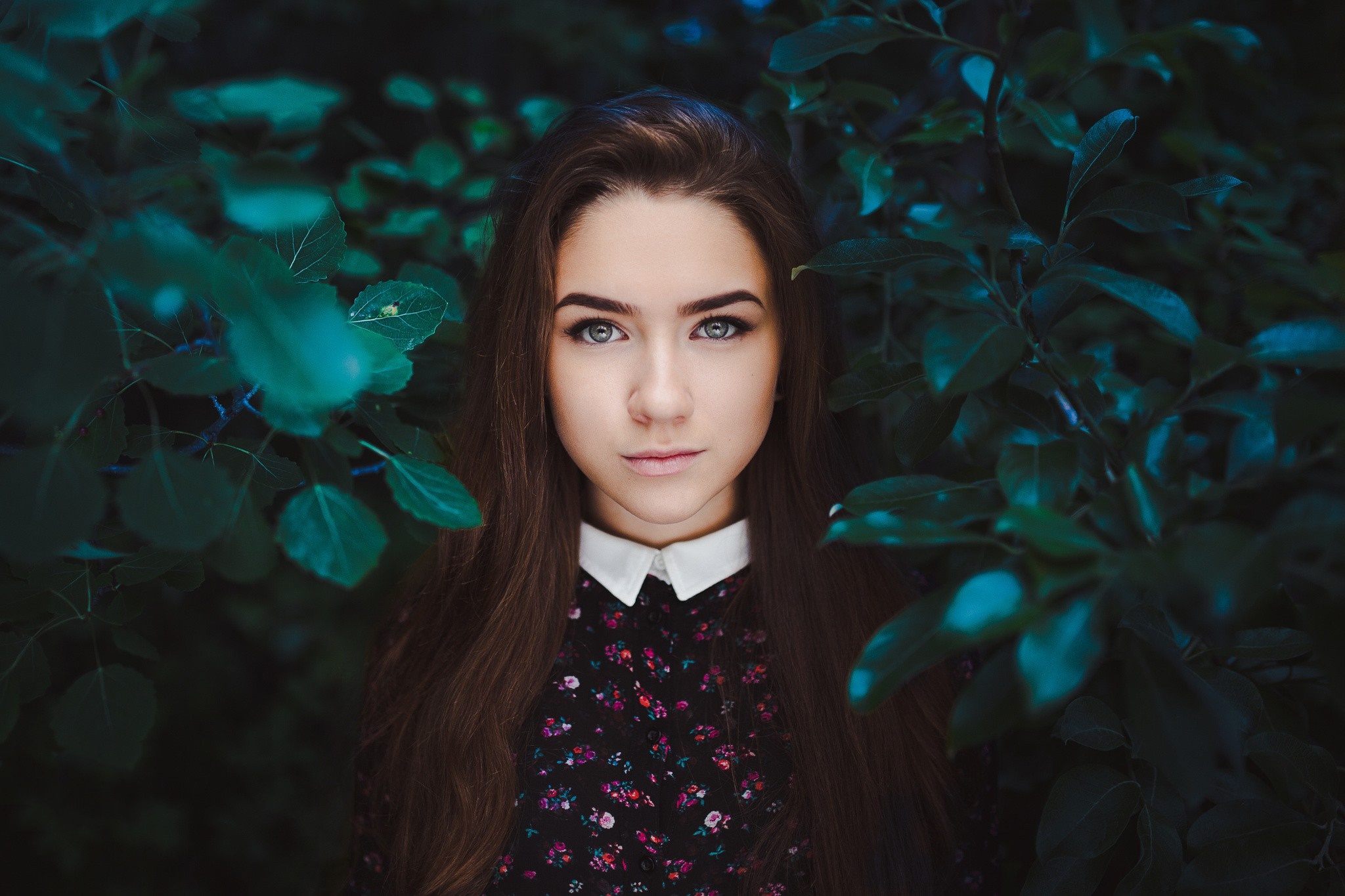 Woman in floral dress surrounded by dark leaves HD Wallpaper