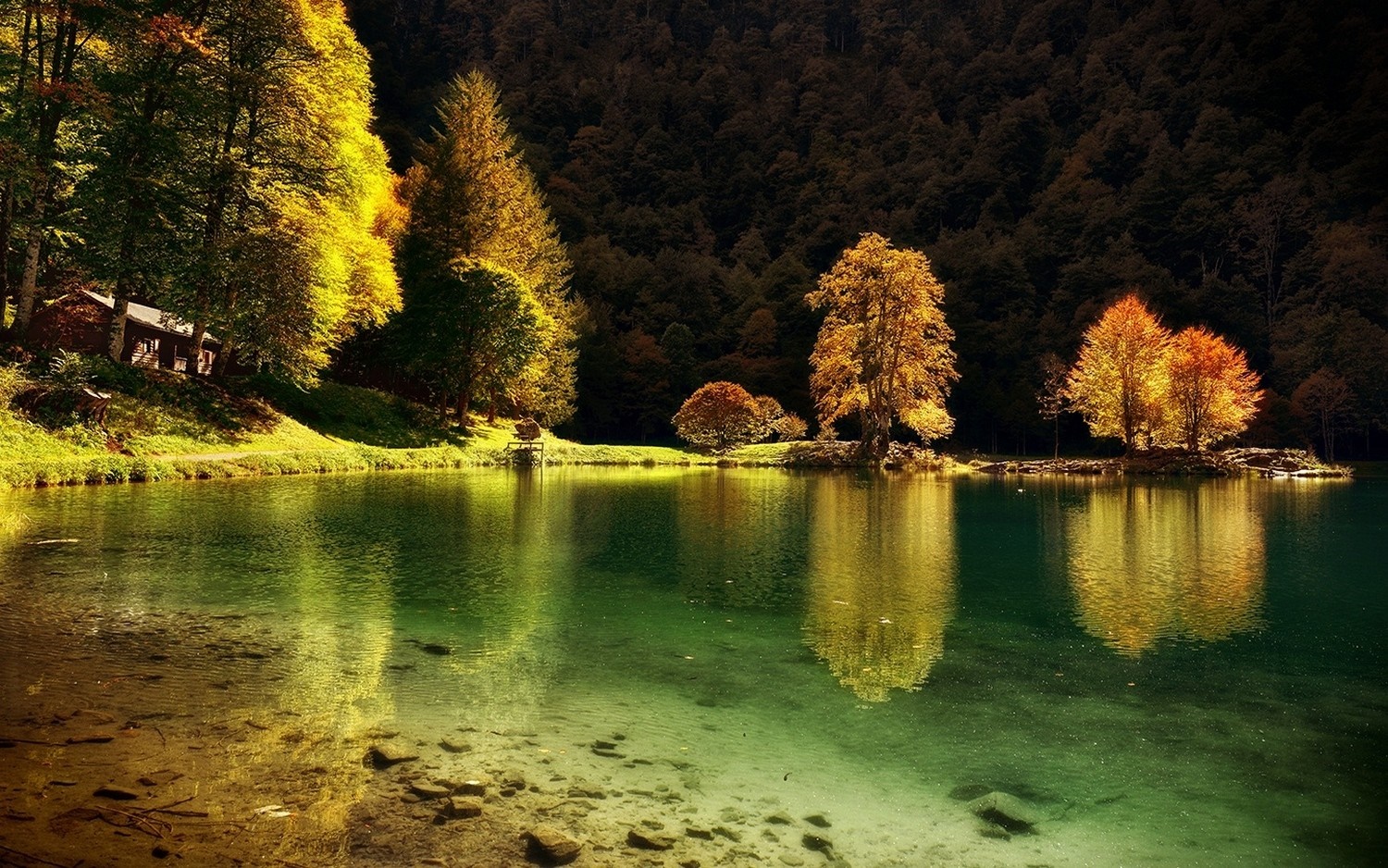 Autumn Trees Reflecting on a Serene Lake in France HD Wallpaper