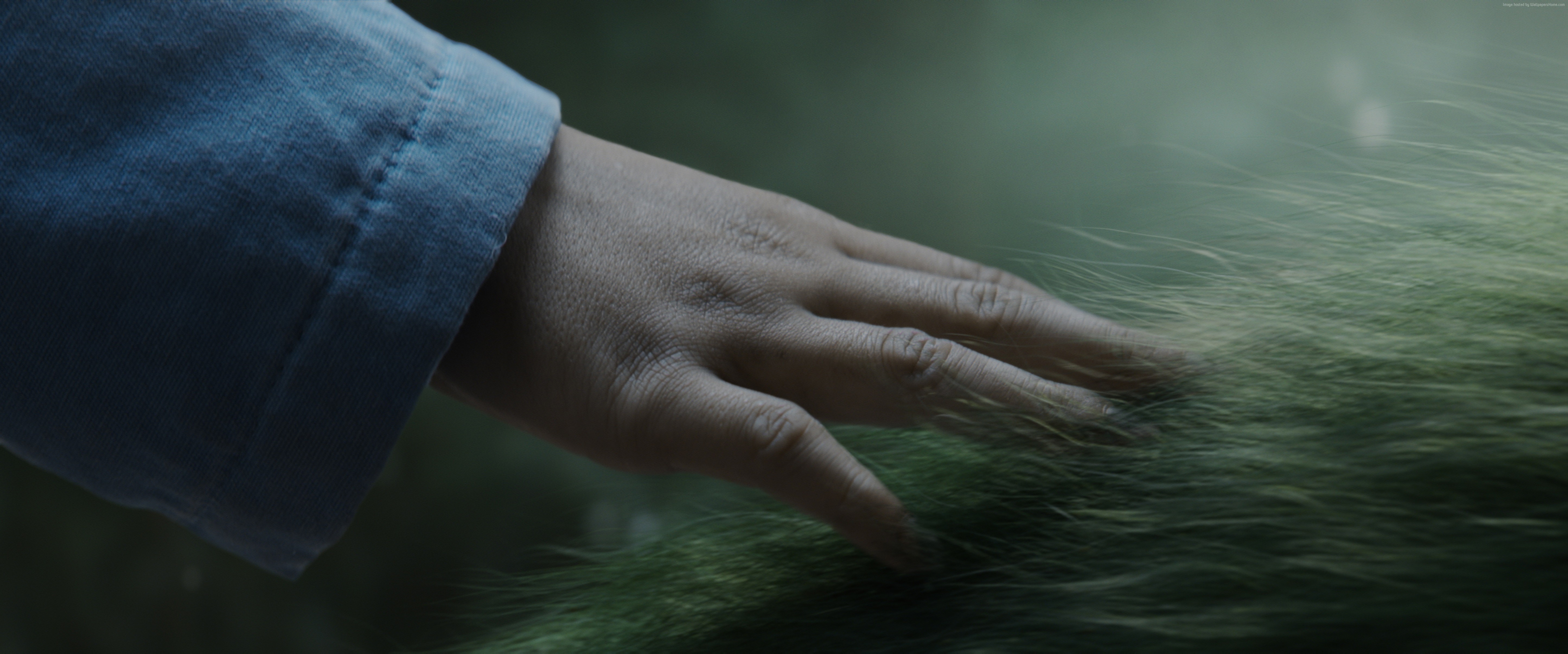 Pete's Dragon HD Wallpaper