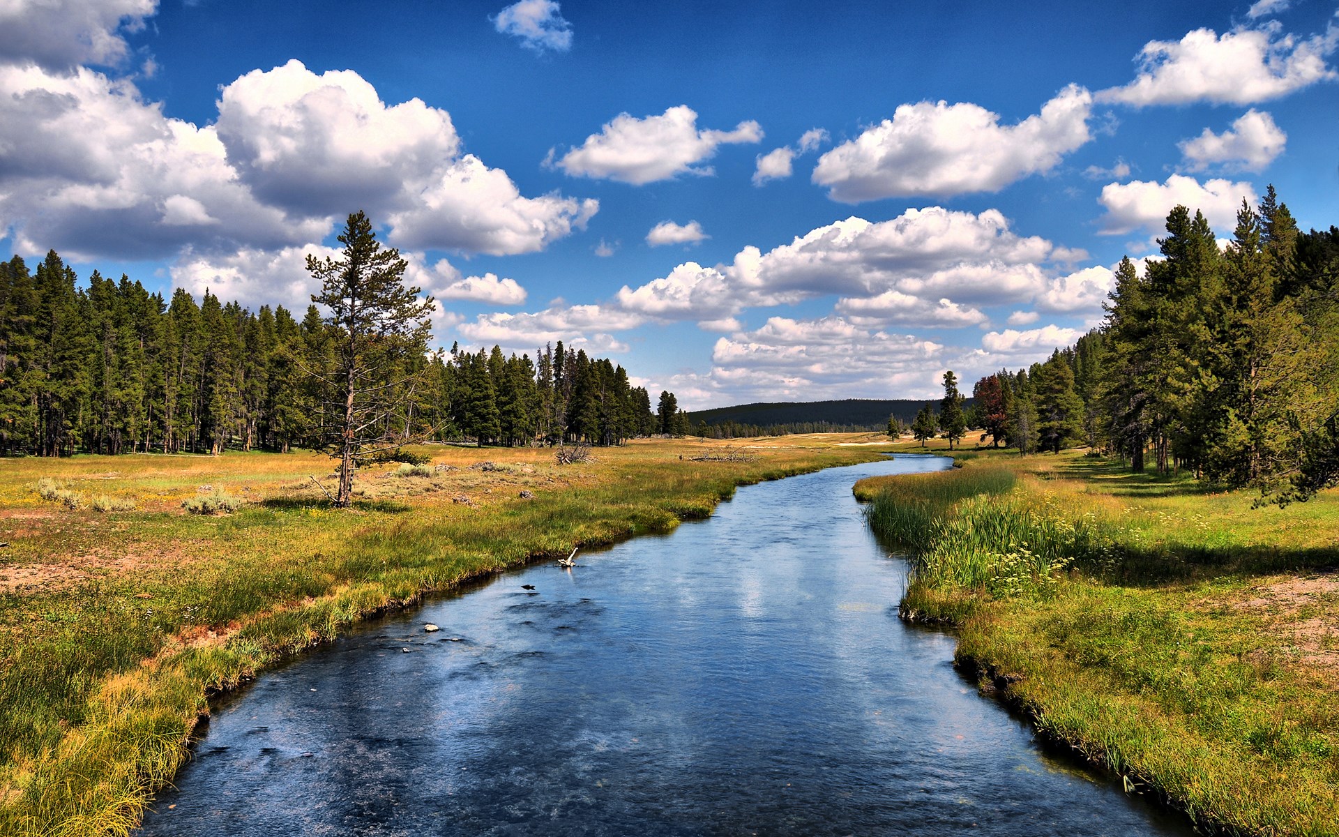 River flowing through a meadow with pine trees and clouds HD Wallpaper
