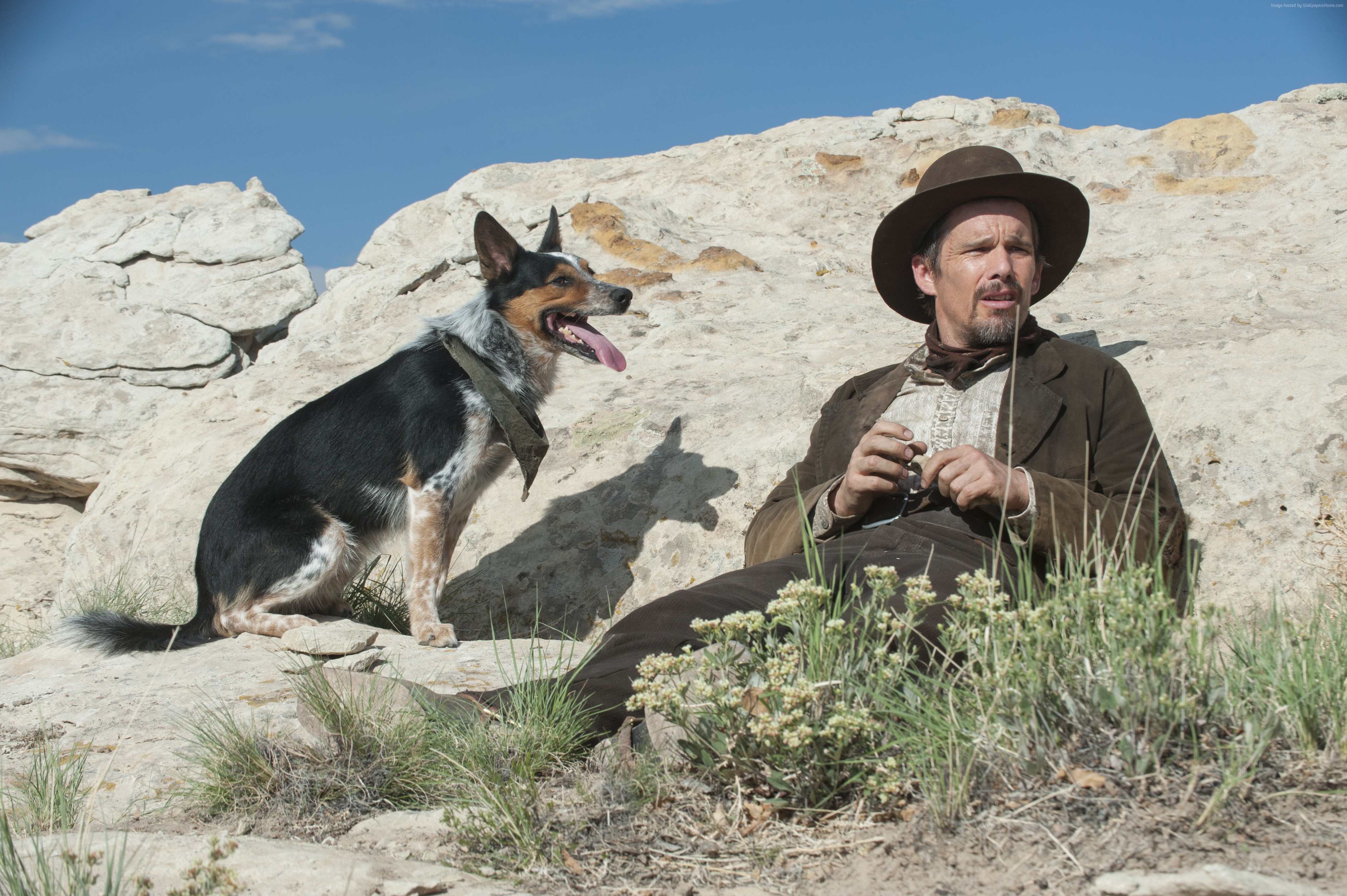 Ethan Hawke and dog in In a Valley of Violence HD Wallpaper