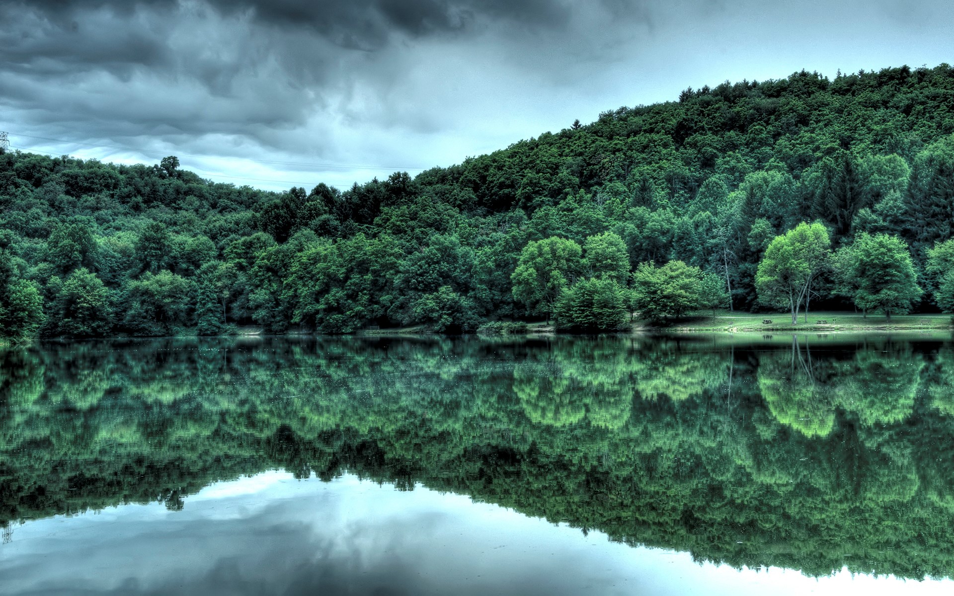 Forest reflected in a lake under cloudy sky HD Wallpaper