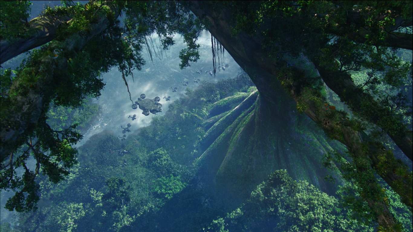 Avatar: Helicopters flying over a dense alien rainforest HD Wallpaper
