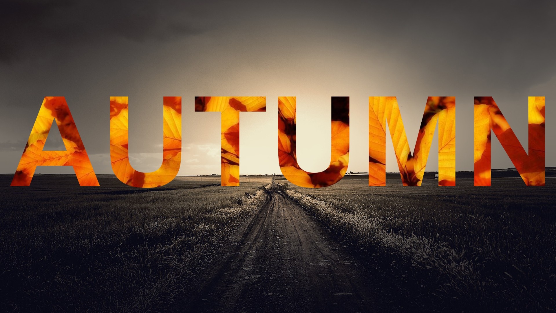Autumn text over a dirt road in a field HD Wallpaper