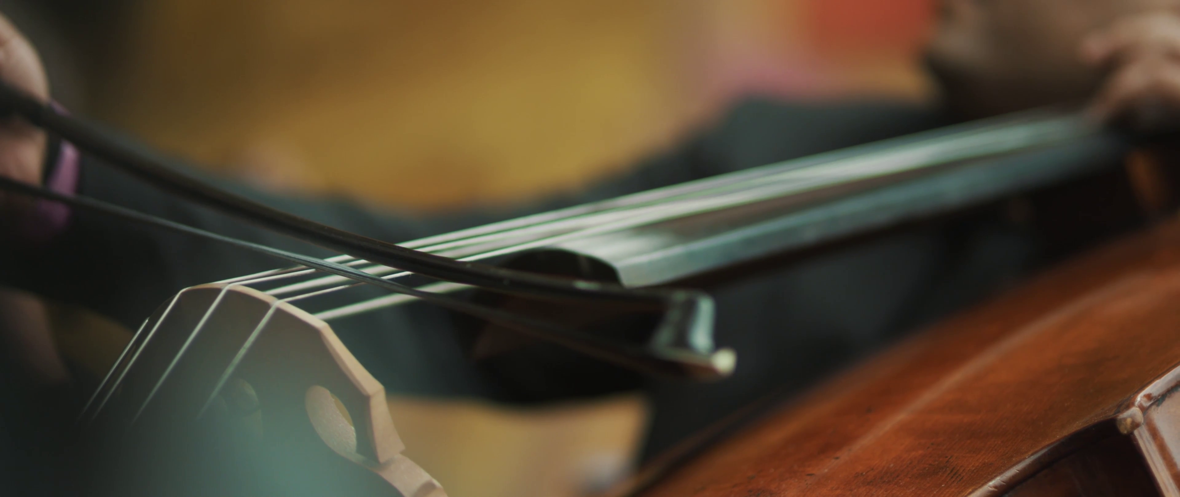 Close up of a person playing a cello HD Wallpaper