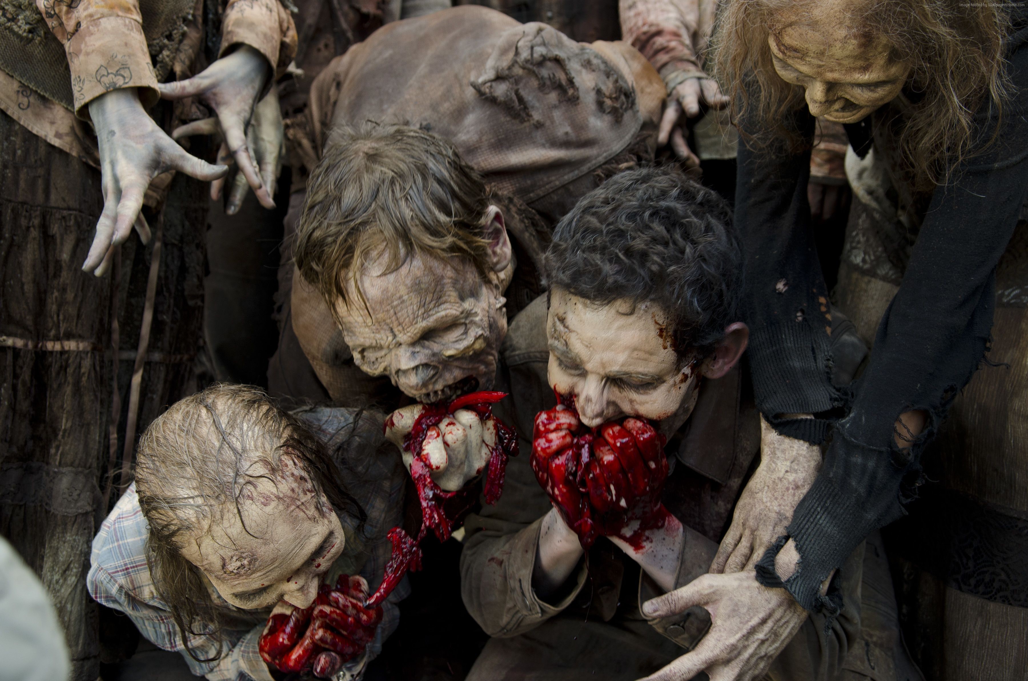 Zombies eating flesh in The Walking Dead HD Wallpaper