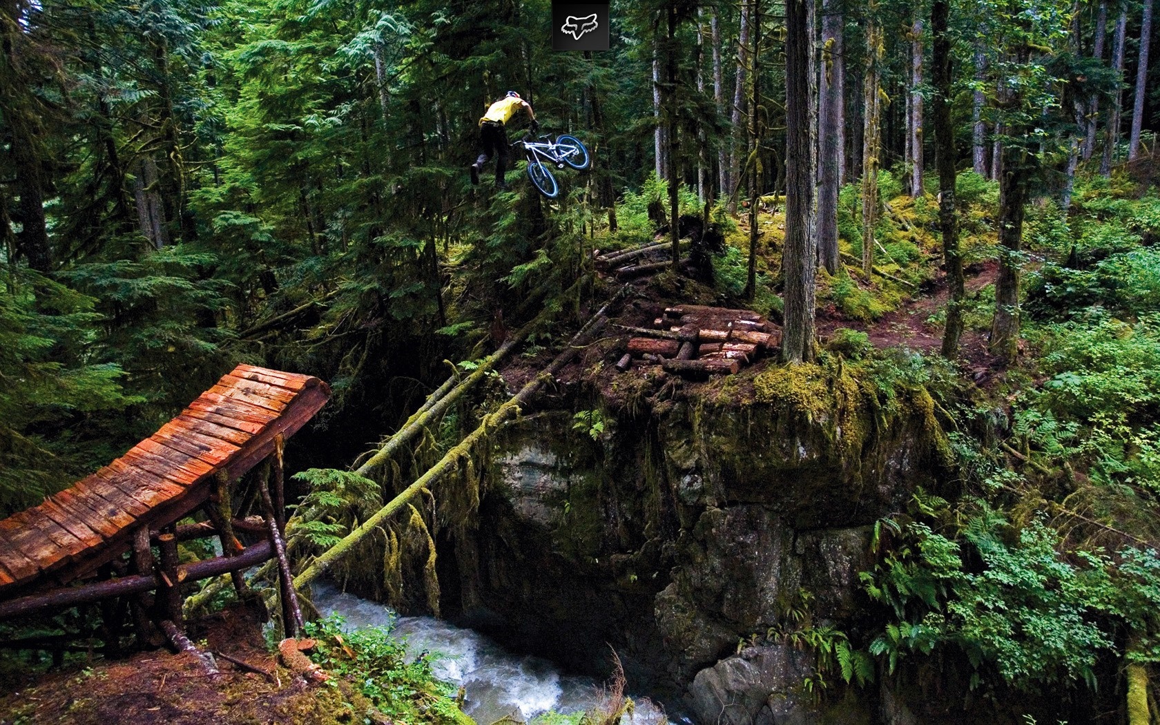 Mountain biker jumps over a ravine in a forest HD Wallpaper