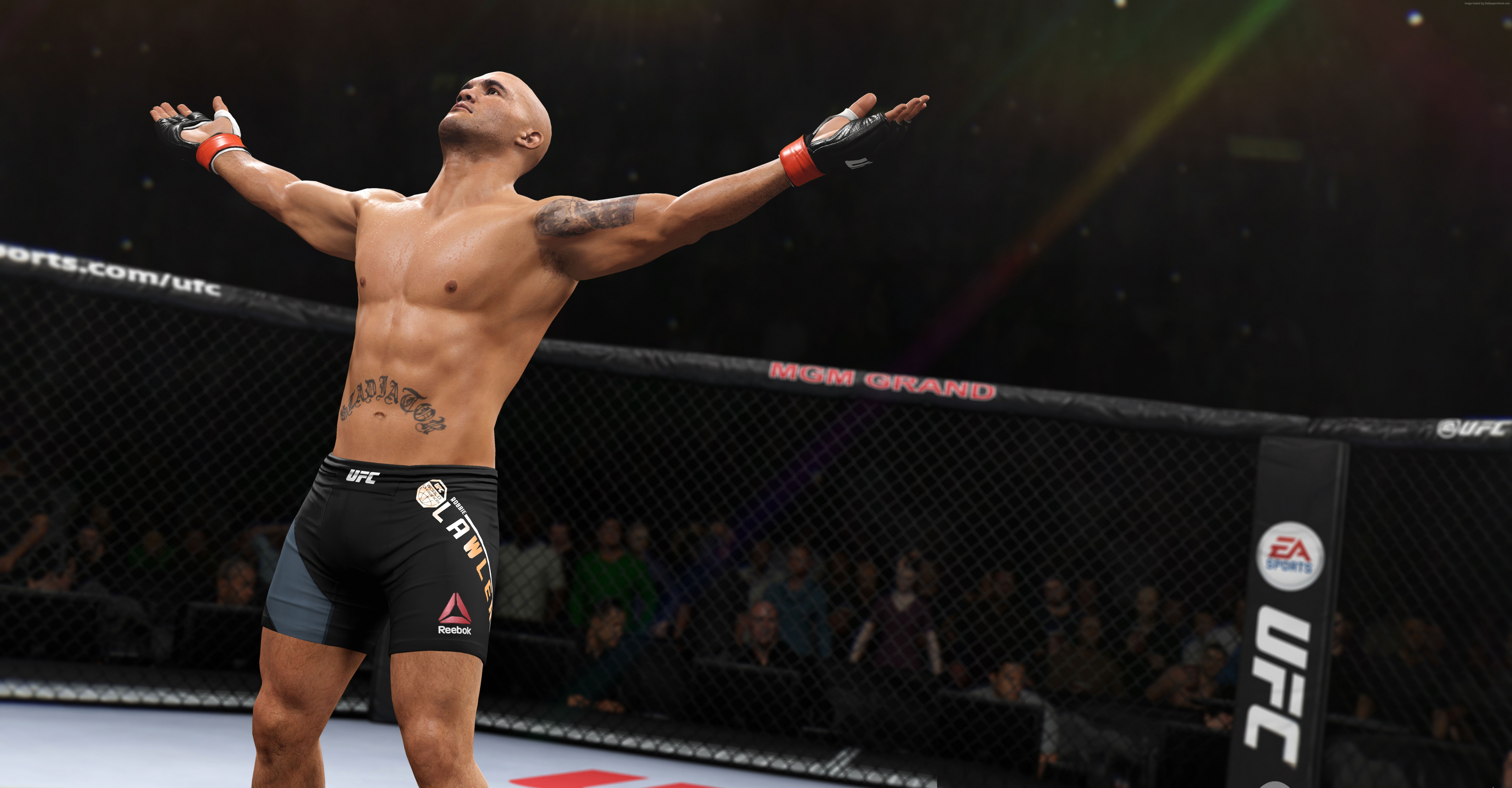 UFC fighter with arms raised in victory HD Wallpaper