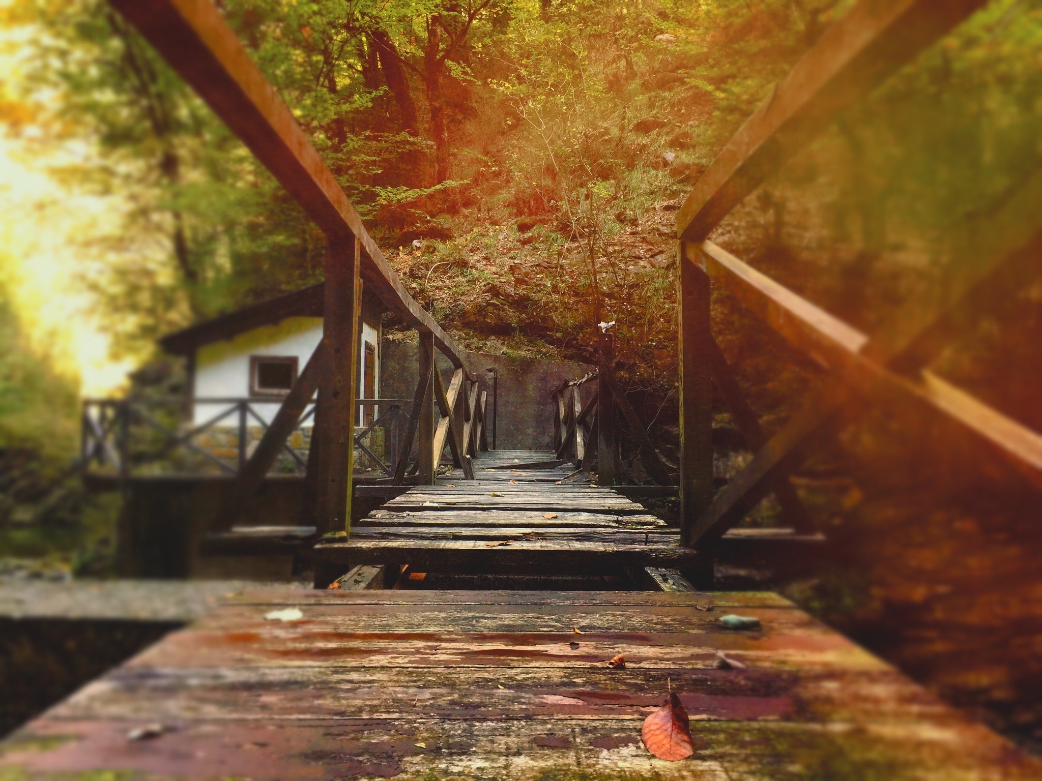 Wooden bridge leading to a house in an autumn forest HD Wallpaper