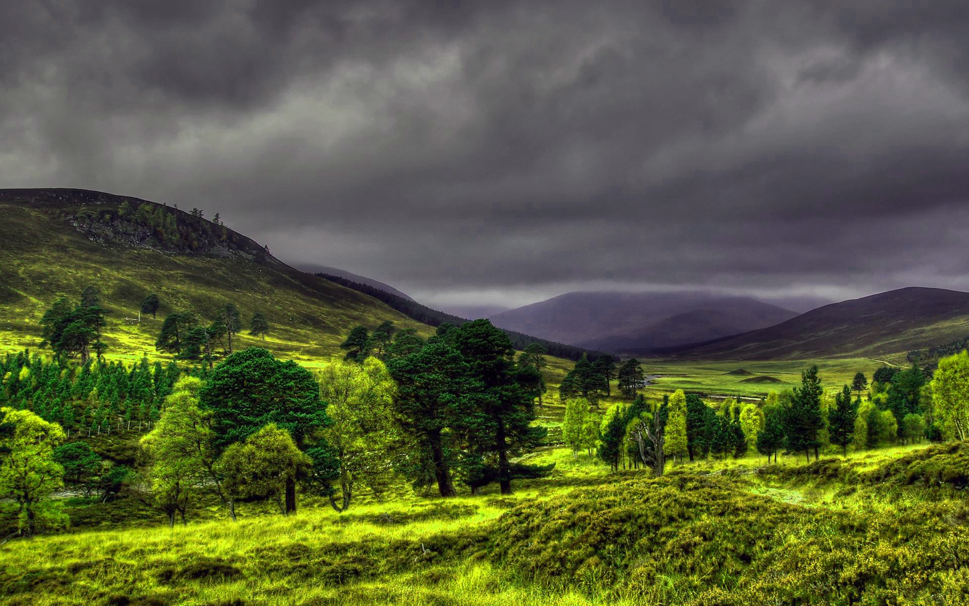 Green rolling hills and trees under a cloudy sky HD Wallpaper