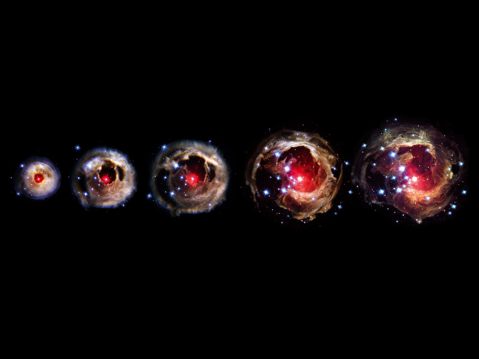 V838 Monocerotis stellar evolution progression HD Wallpaper