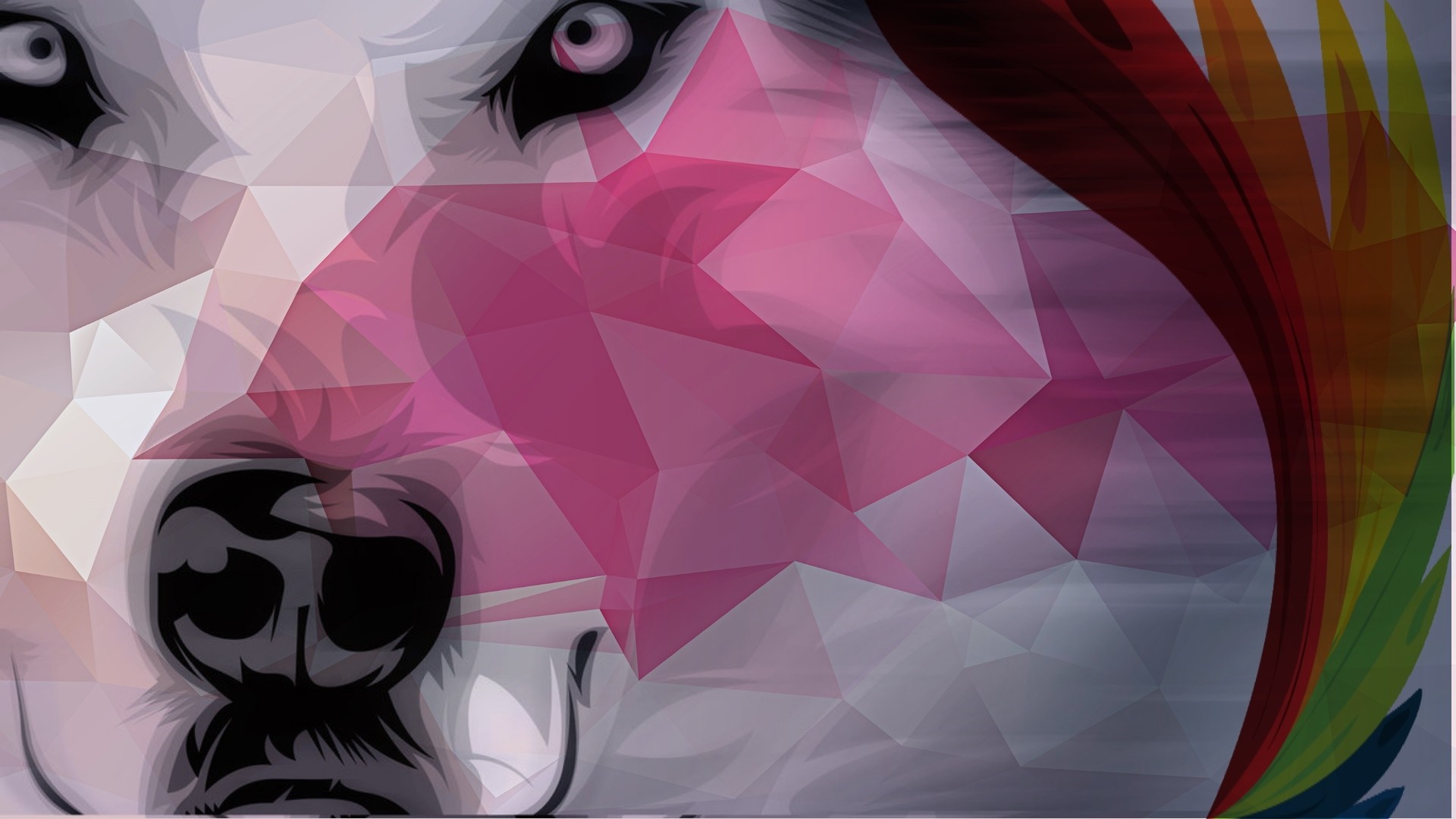 Geometric wolf illustration with rainbow mane HD Wallpaper