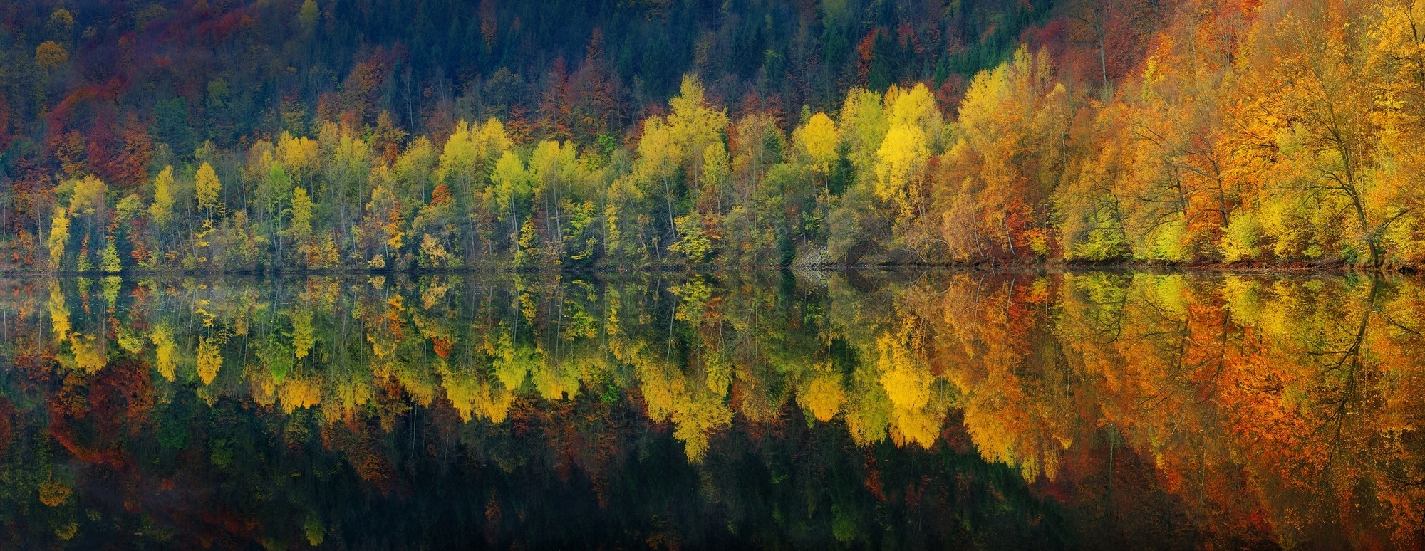 Autumn forest reflected in a calm lake HD Wallpaper