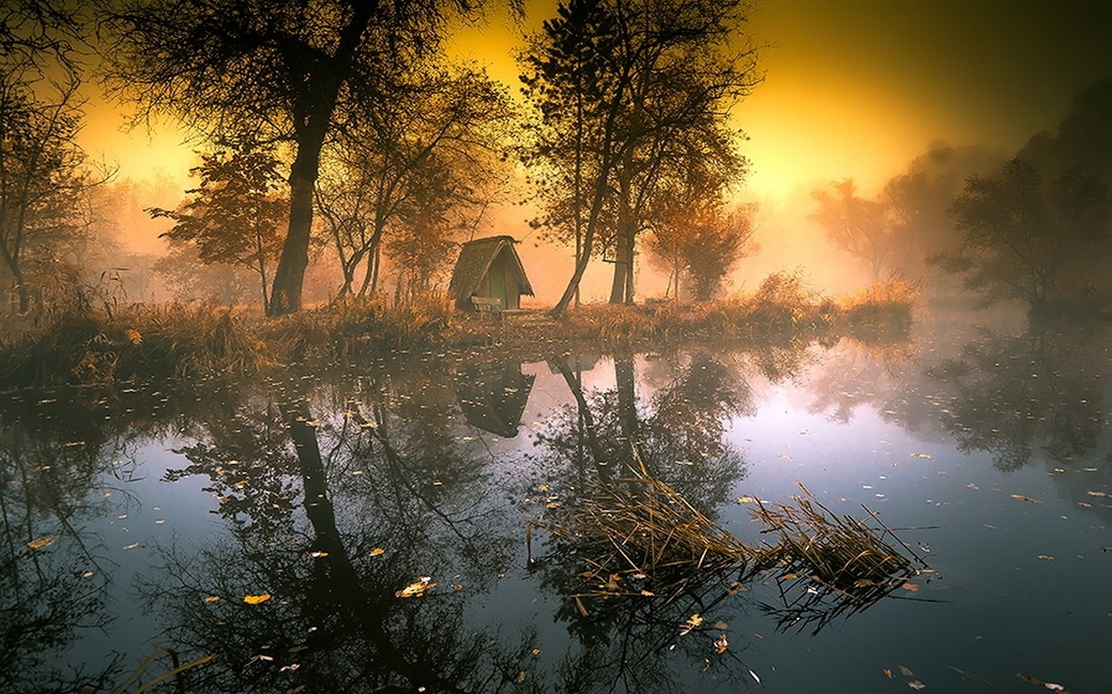Misty lake with hut and trees at sunrise HD Wallpaper