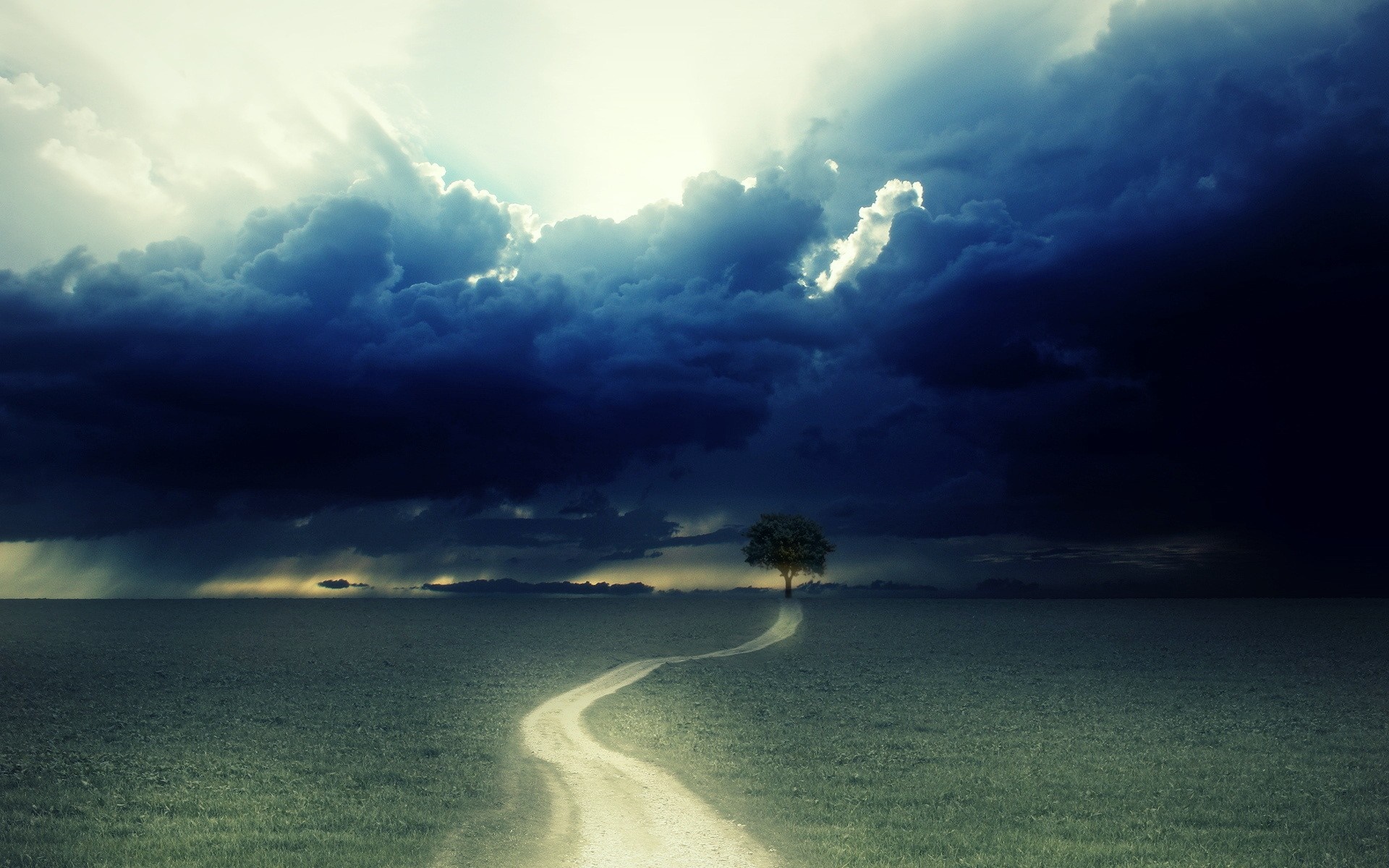 A lone tree on a path under stormy clouds HD Wallpaper