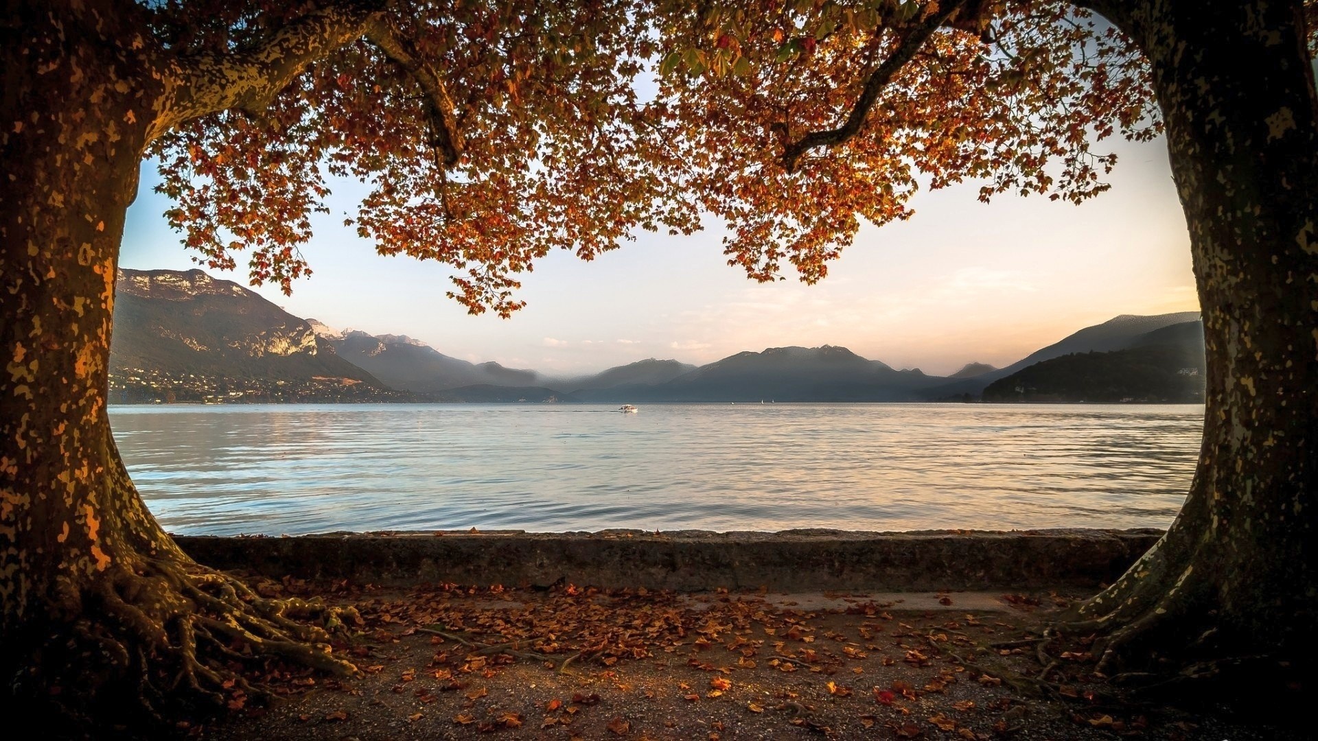 Autumn trees framing a lake at sunset HD Wallpaper