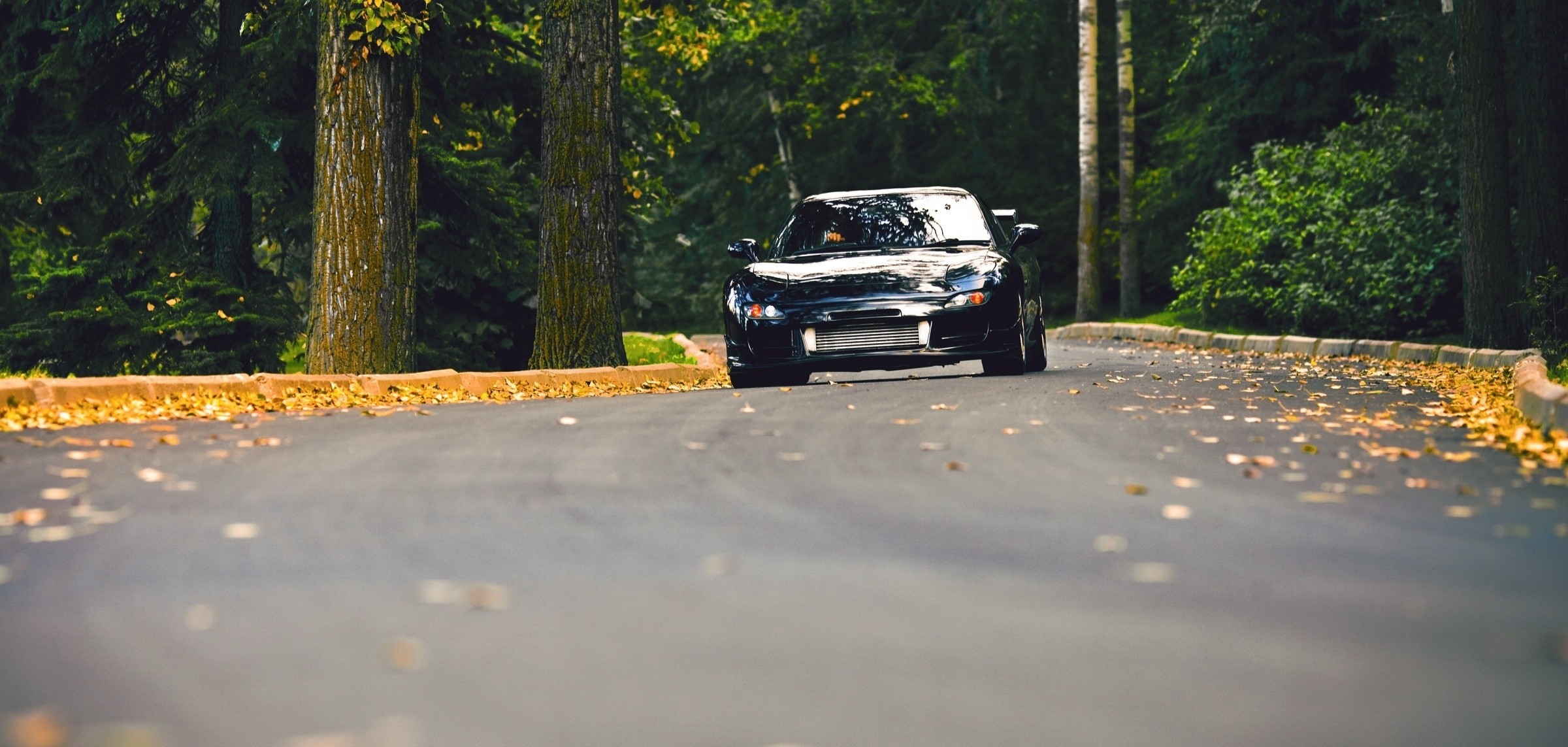 Black Mazda driving on a tree-lined road HD Wallpaper