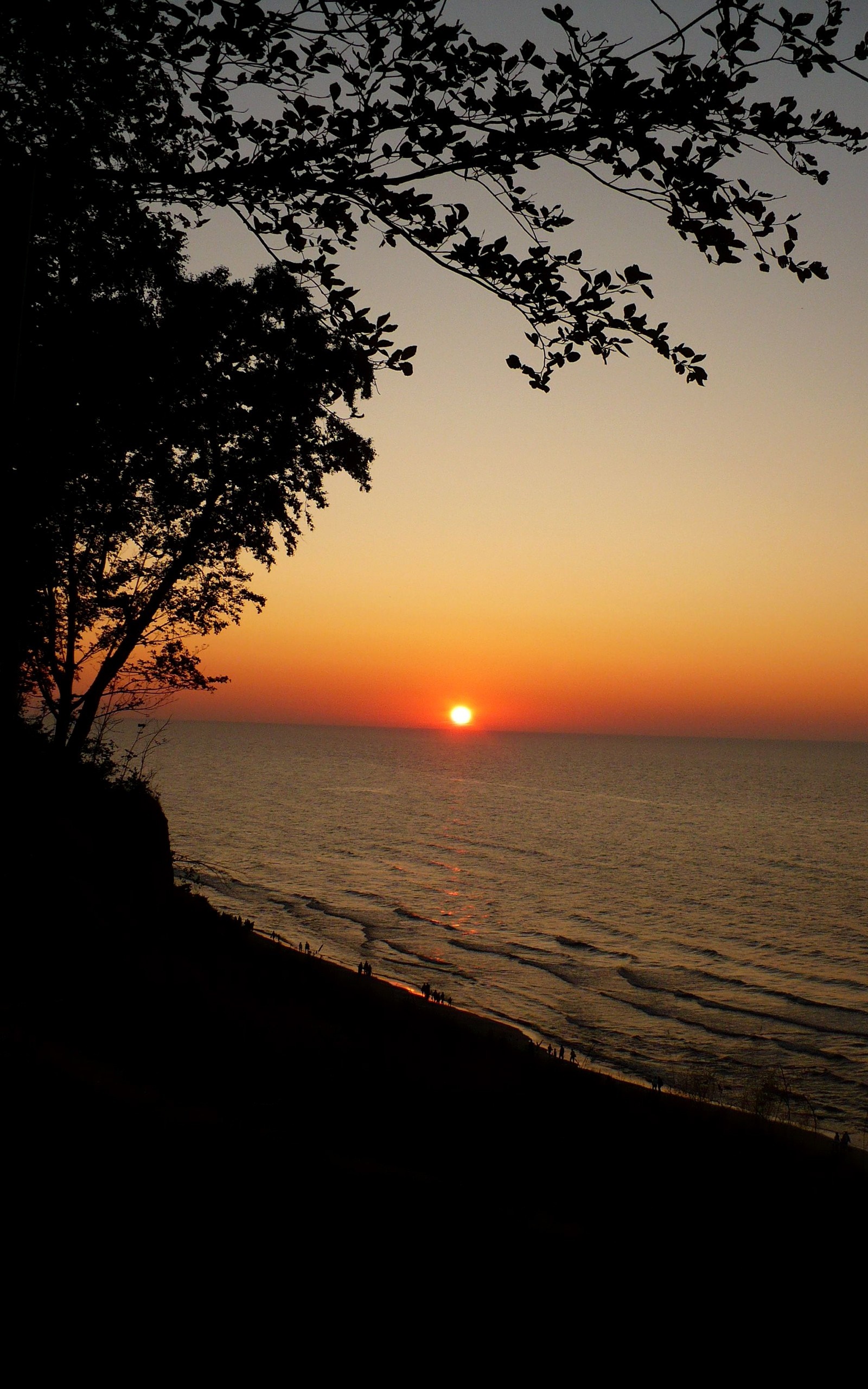 Sunset over the ocean with a silhouetted cliff and trees HD Wallpaper