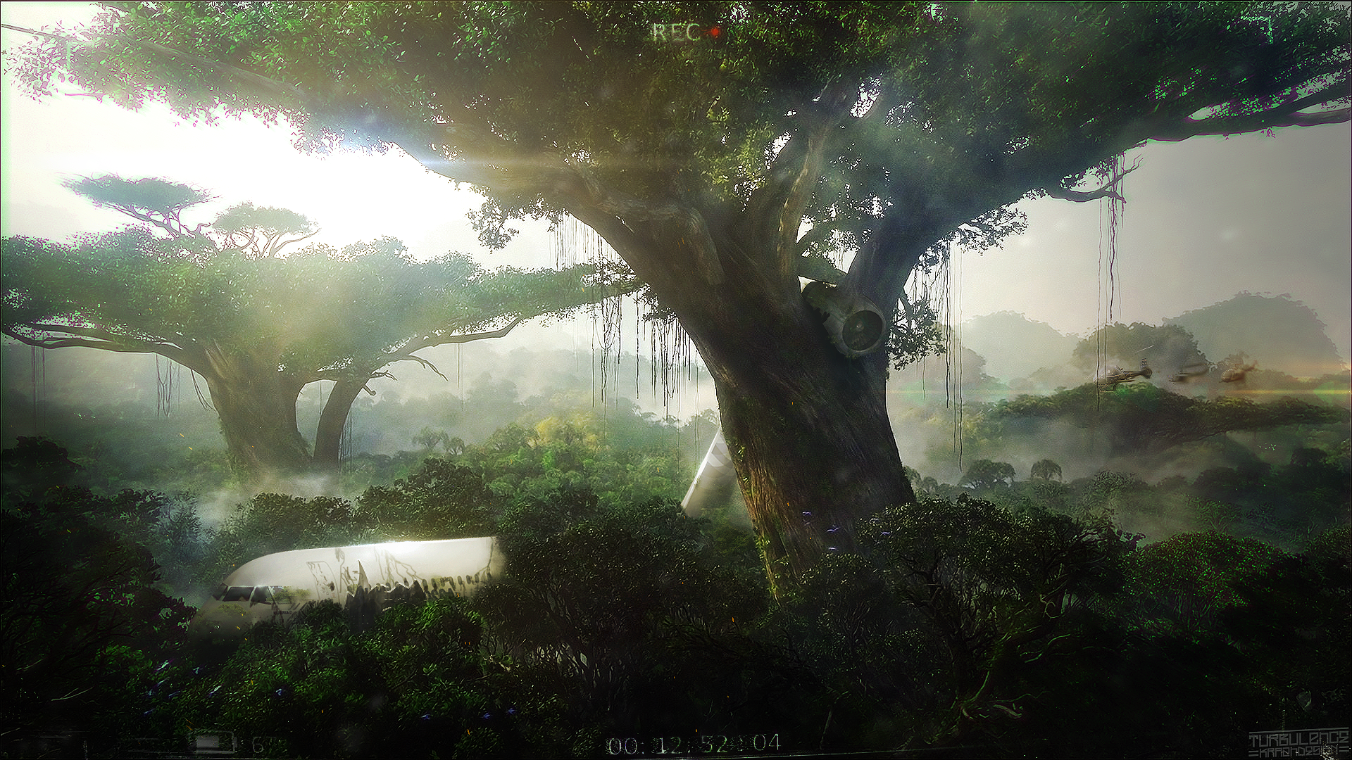 Airplane wreckage in a misty jungle with large trees HD Wallpaper