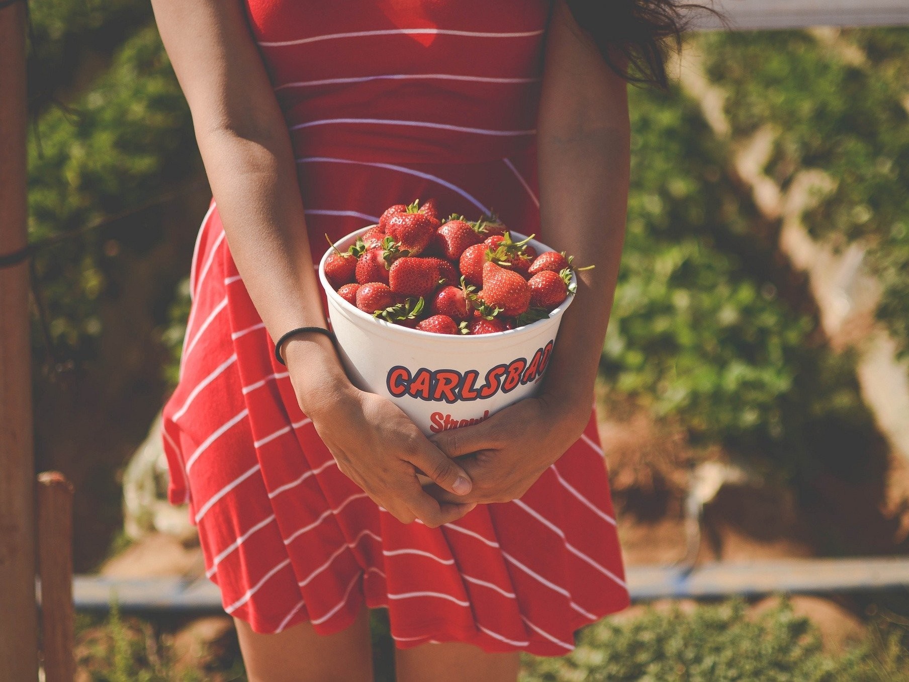 Woman in red dress holding bucket of strawberries HD Wallpaper
