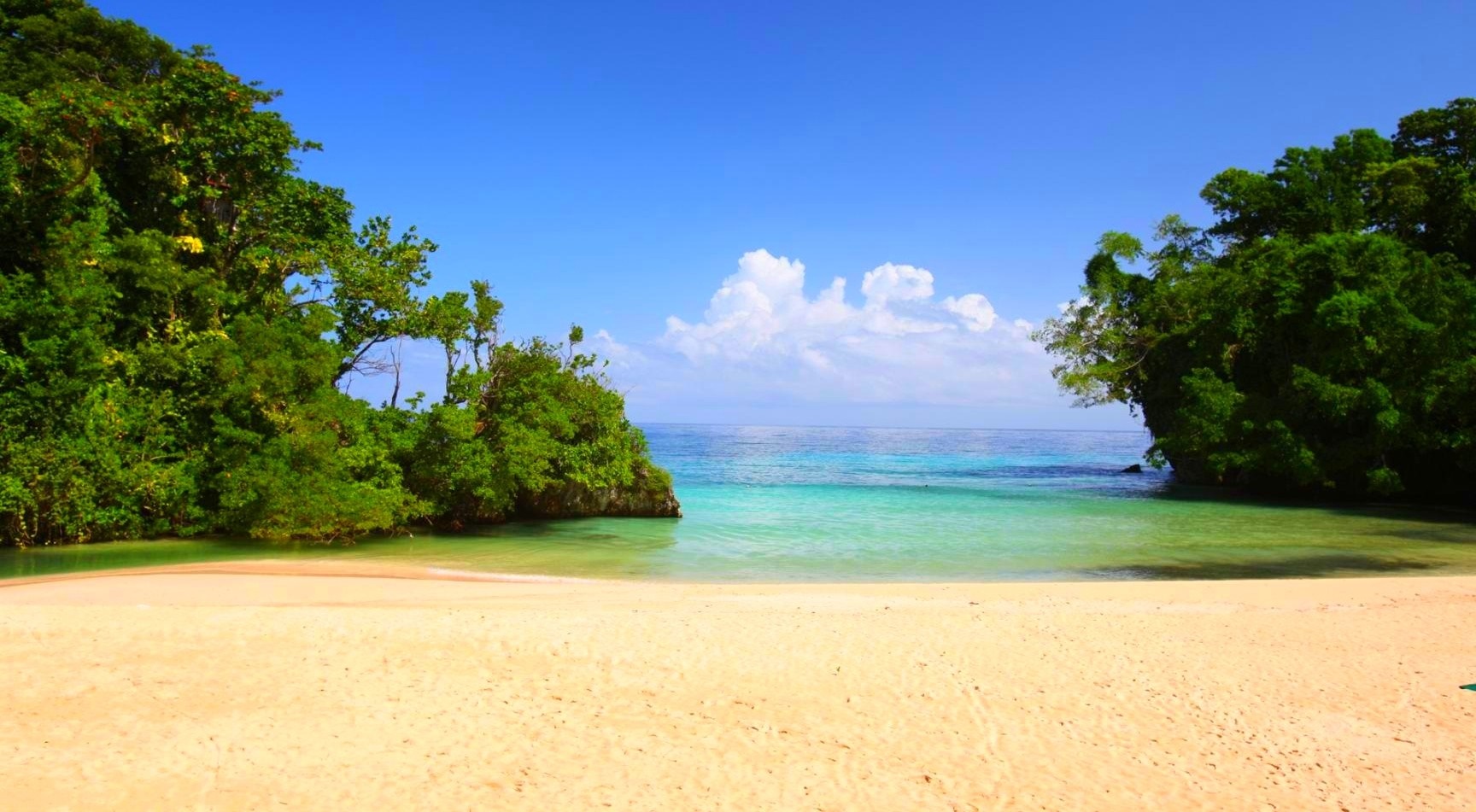 Tropical beach with turquoise water and lush green trees HD Wallpaper