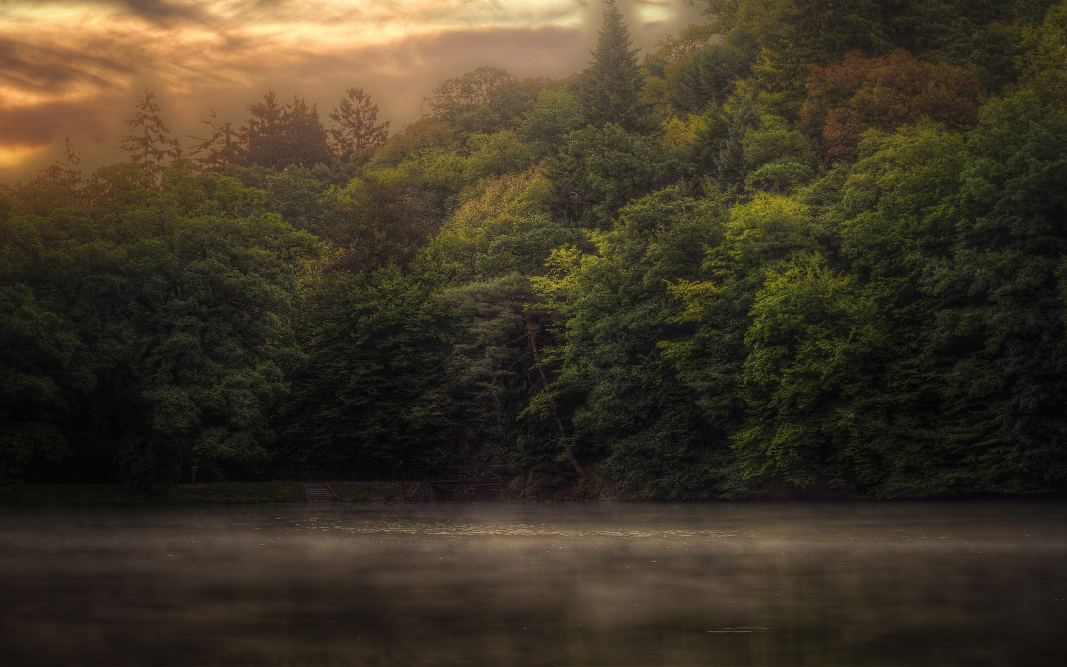 Misty lake in front of a dense forest at sunrise HD Wallpaper