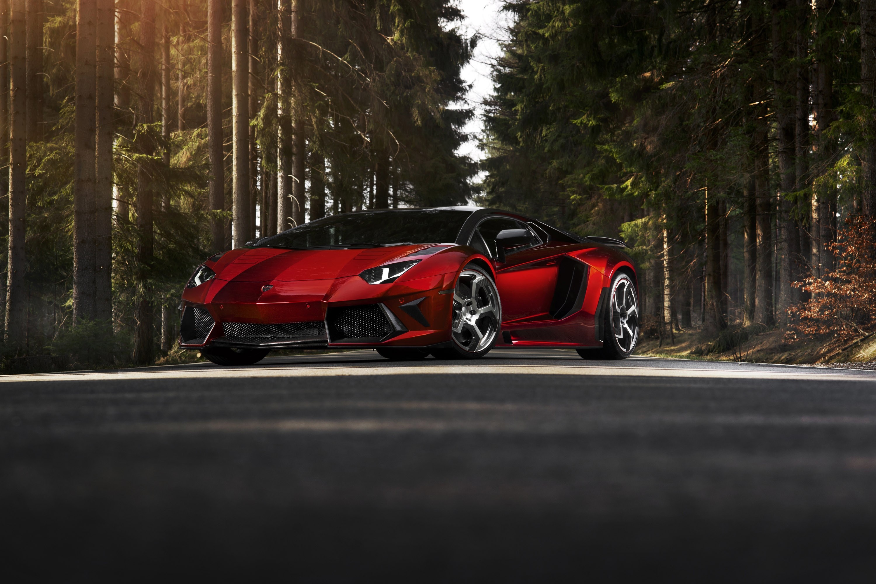 Red Lamborghini Aventador parked on a forest road HD Wallpaper