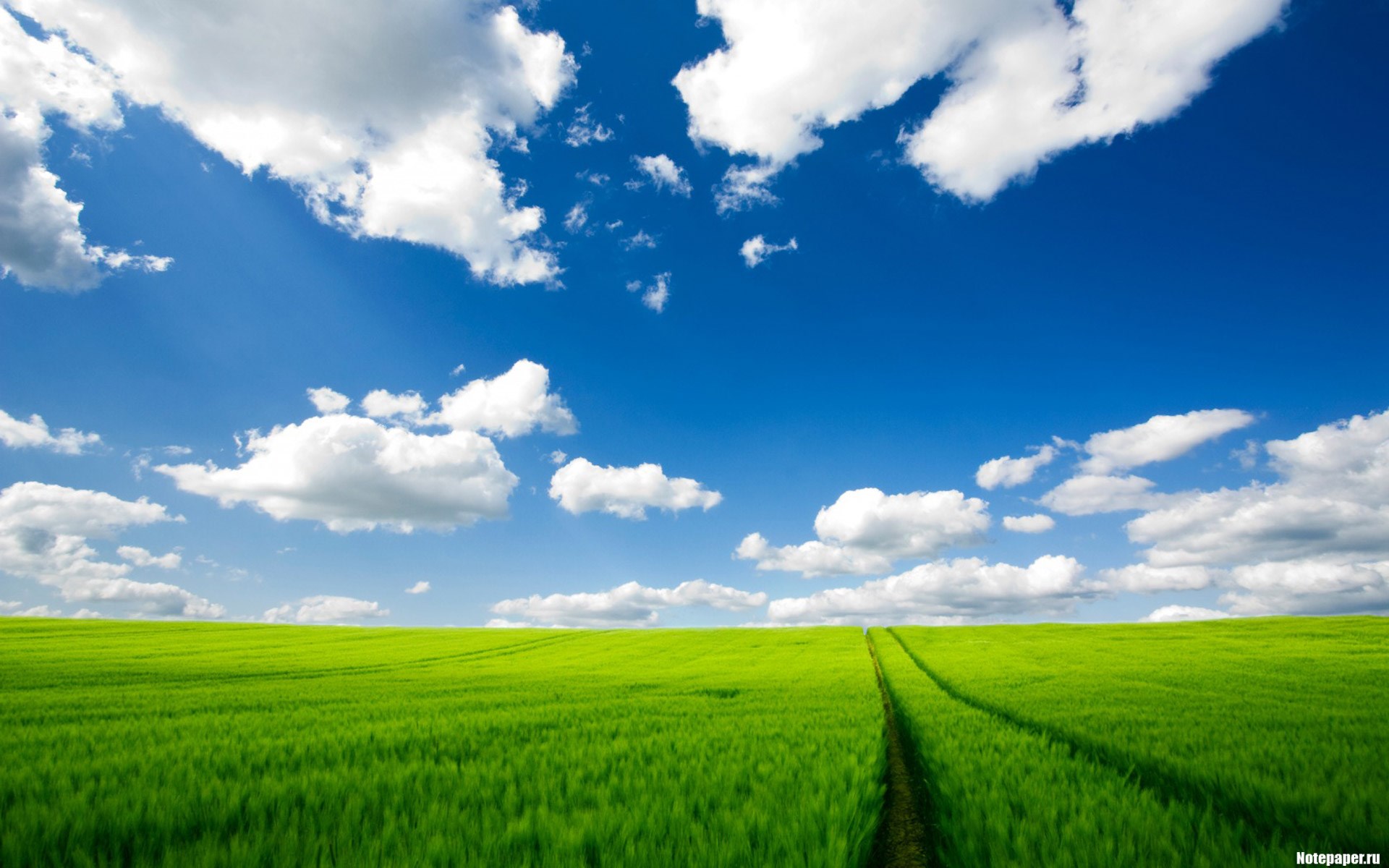 Green field under a blue sky with clouds HD Wallpaper