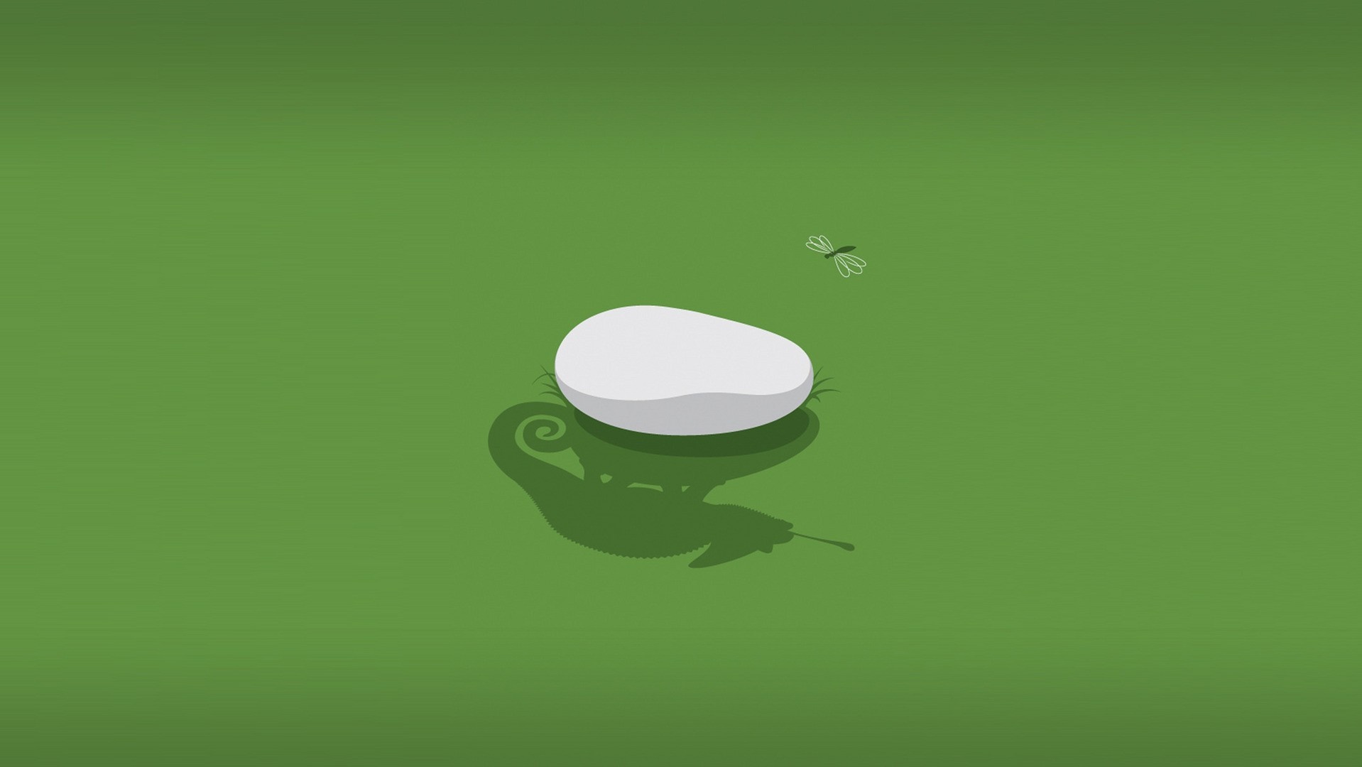 Minimalist illustration of a snail and a dragonfly HD Wallpaper
