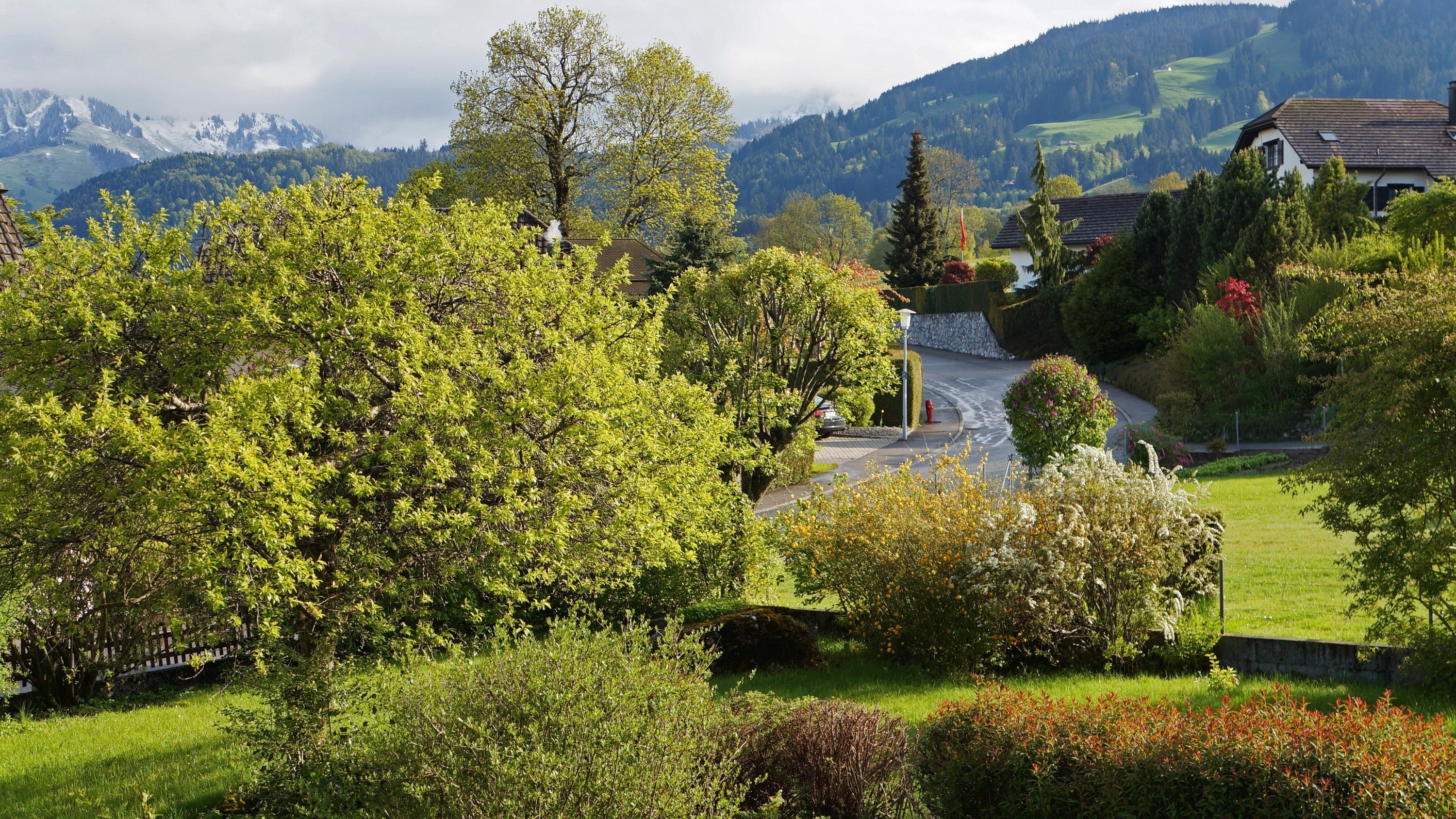 Mountain village with lush green trees and gardens HD Wallpaper