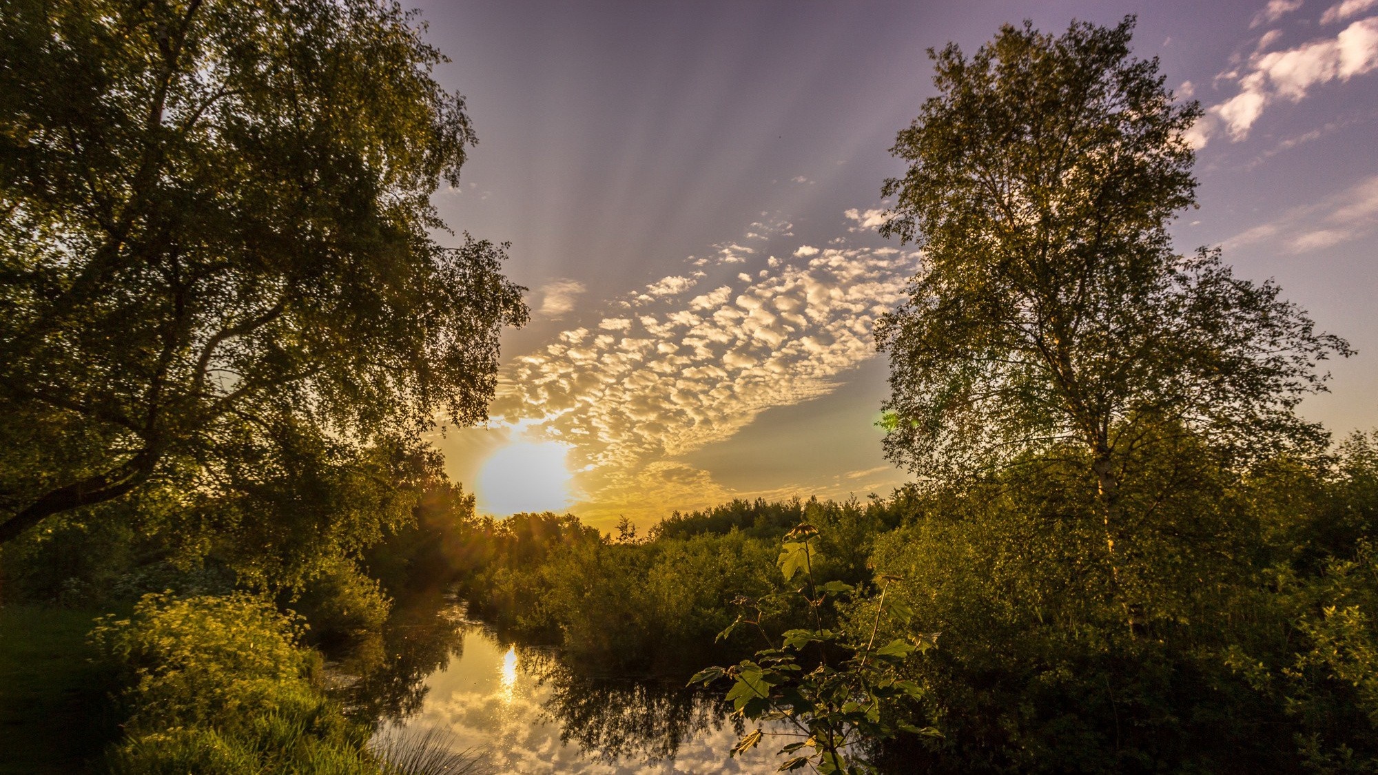 Sunset over a tranquil forest lake with sunbeams HD Wallpaper