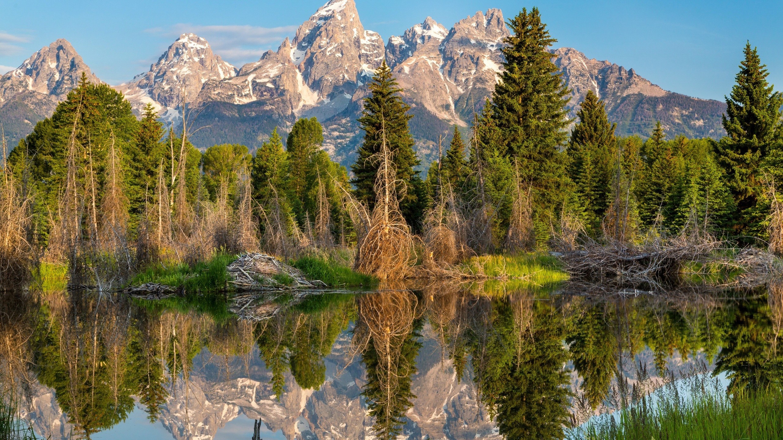 Mountains reflected in a forest lake HD Wallpaper