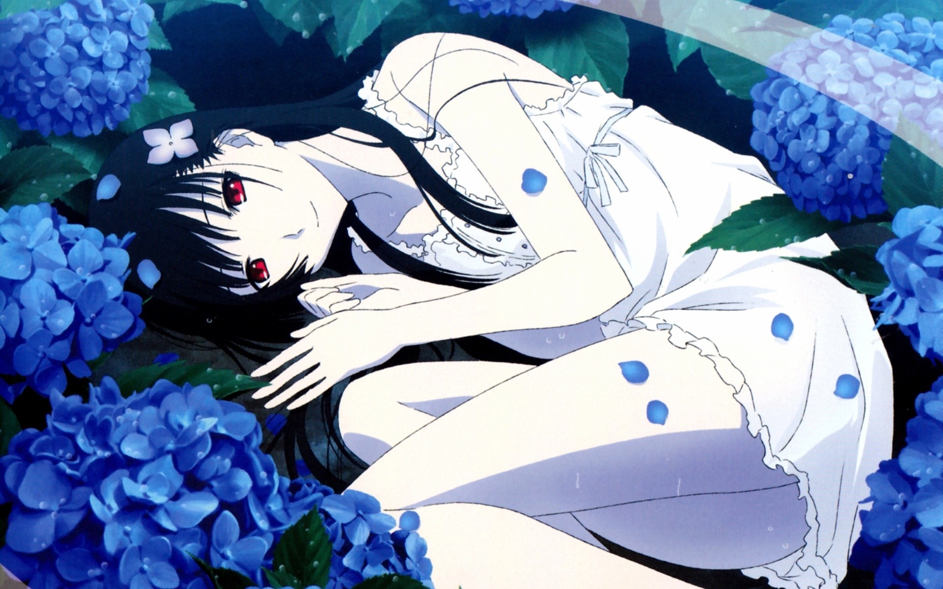 Chihiro Furuya and Rea Sanka from Sankarea surrounded by blue hydrangeas HD Wallpaper
