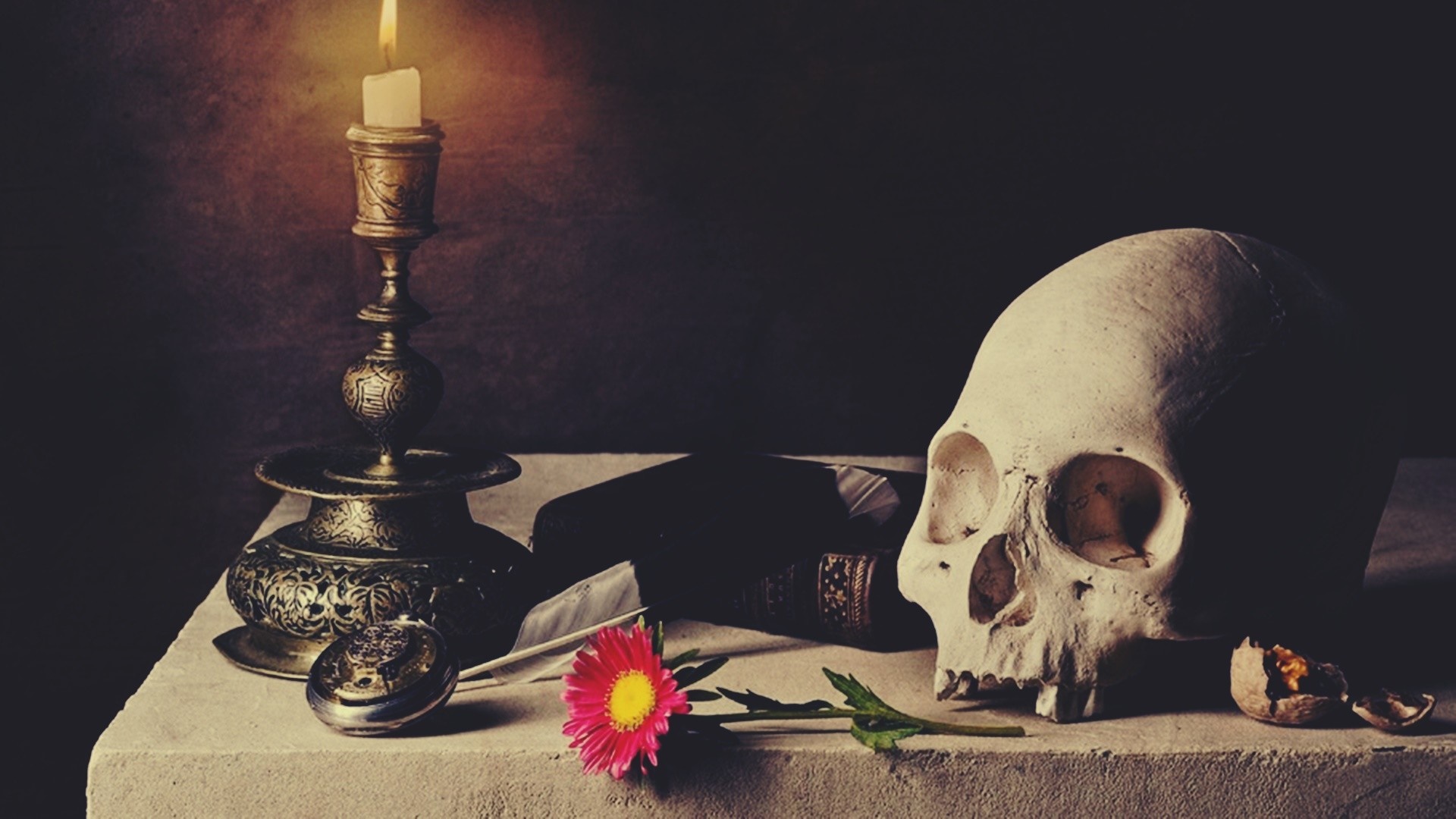 Still Life with Skull, Candle, and Flower HD Wallpaper