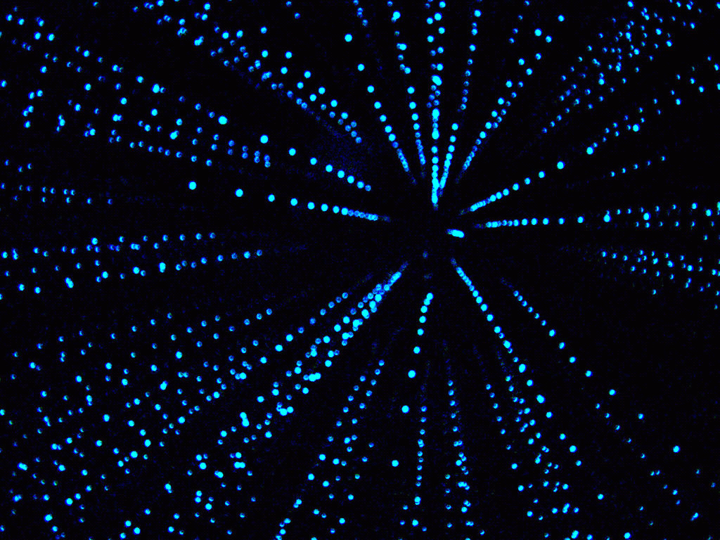 Abstract blue lights in a dark space HD Wallpaper