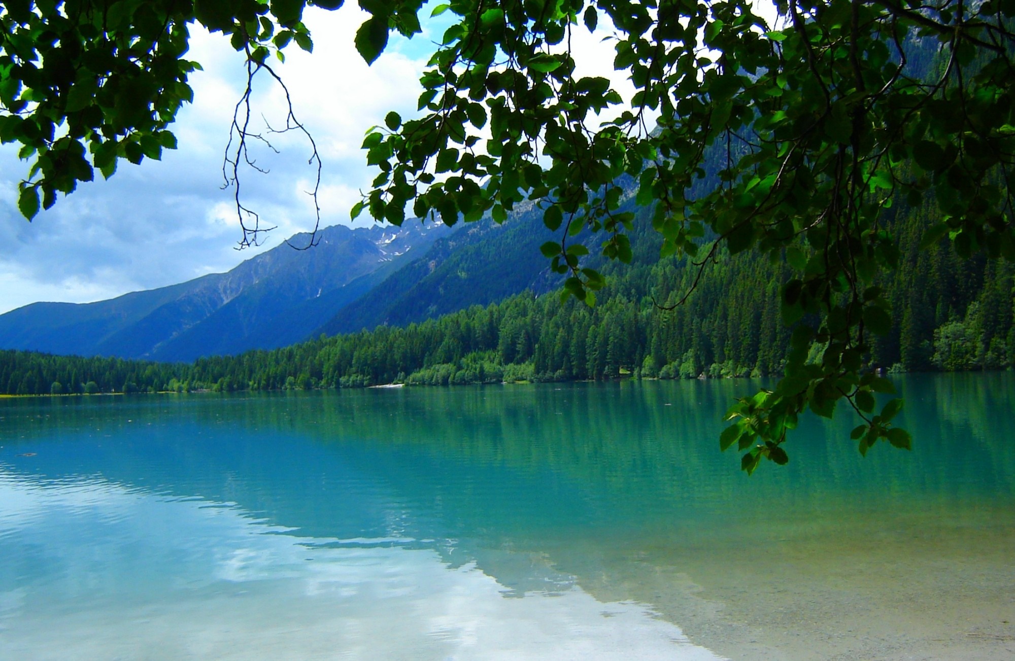 Lake and mountains with trees in the foreground HD Wallpaper
