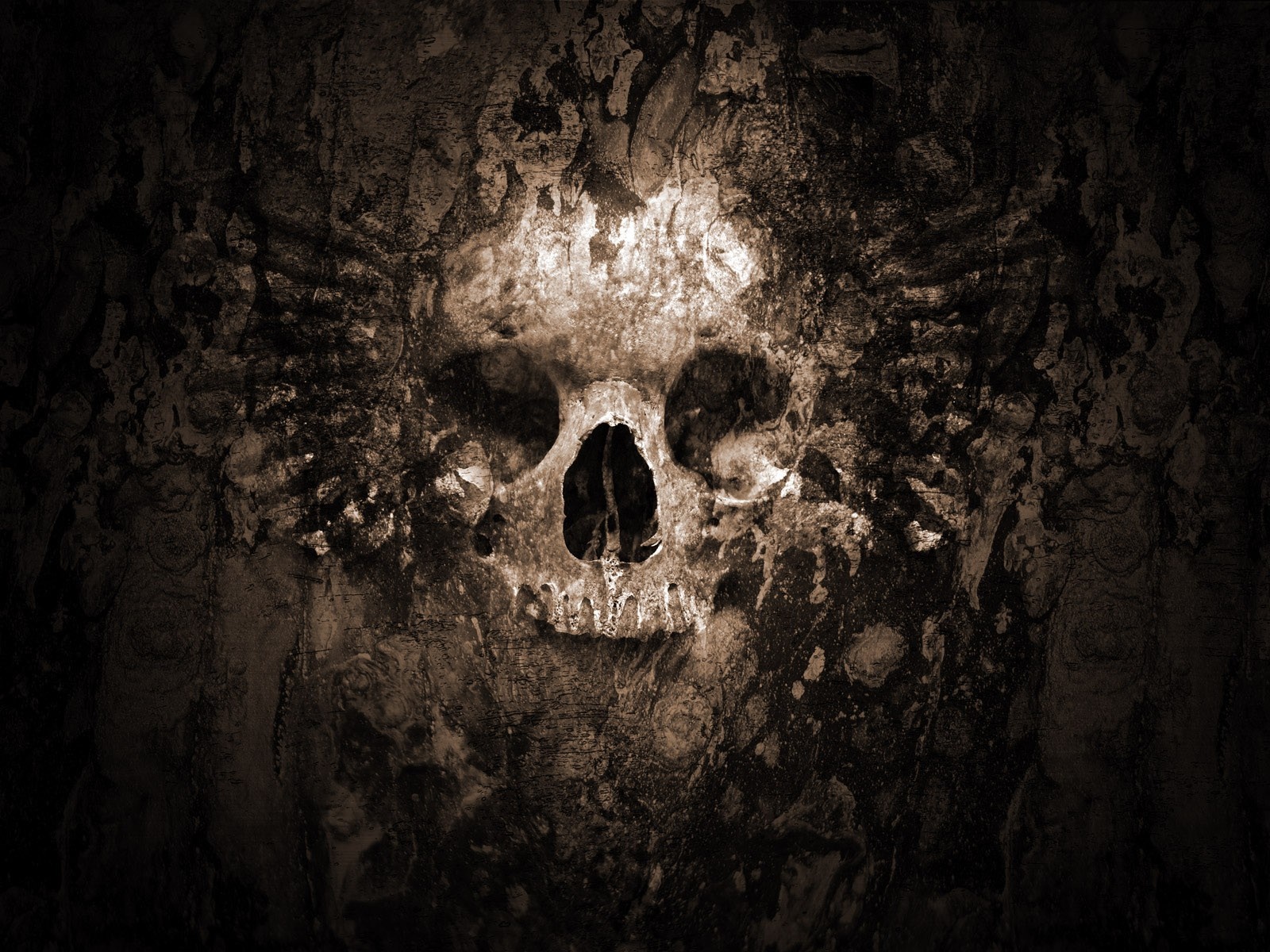 Skull formation in a dark cave HD Wallpaper