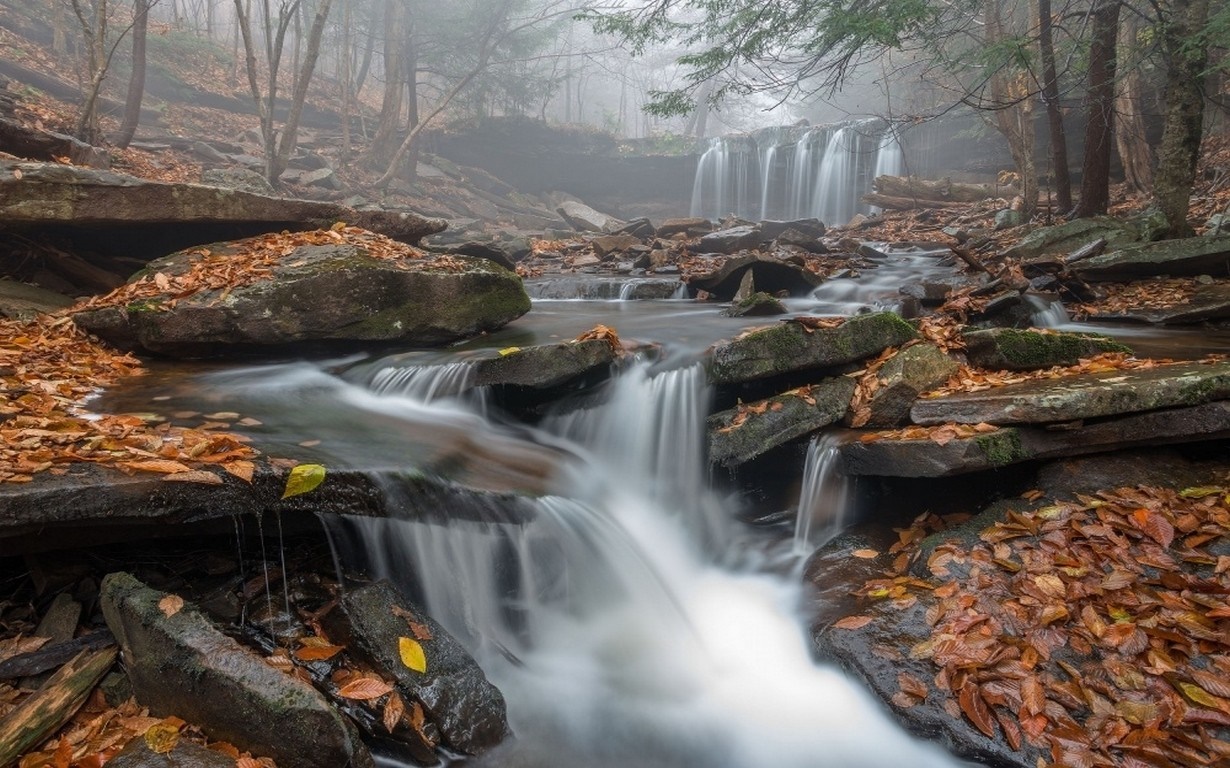 Waterfall in a misty forest during autumn HD Wallpaper
