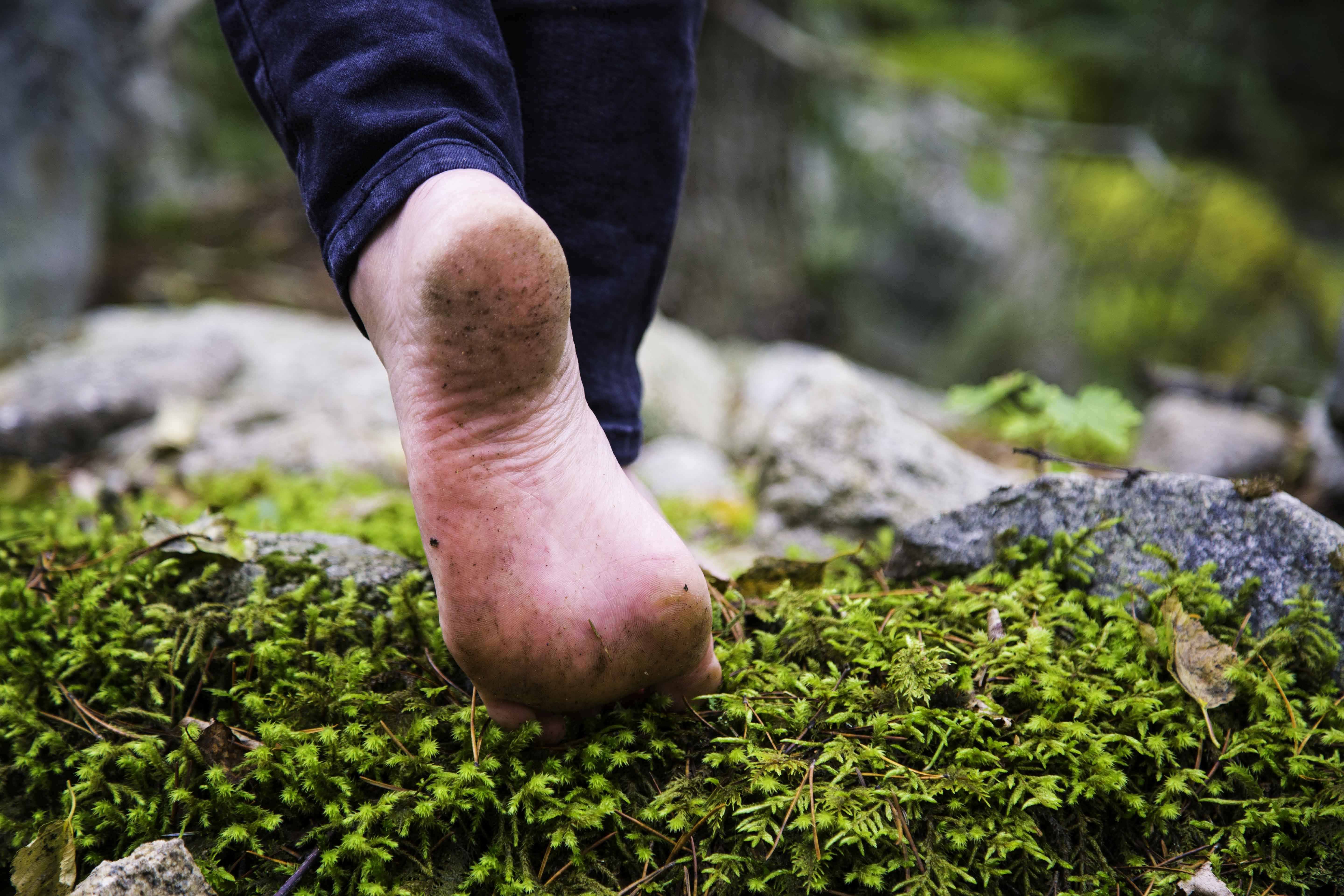 Barefoot person walking on mossy ground HD Wallpaper